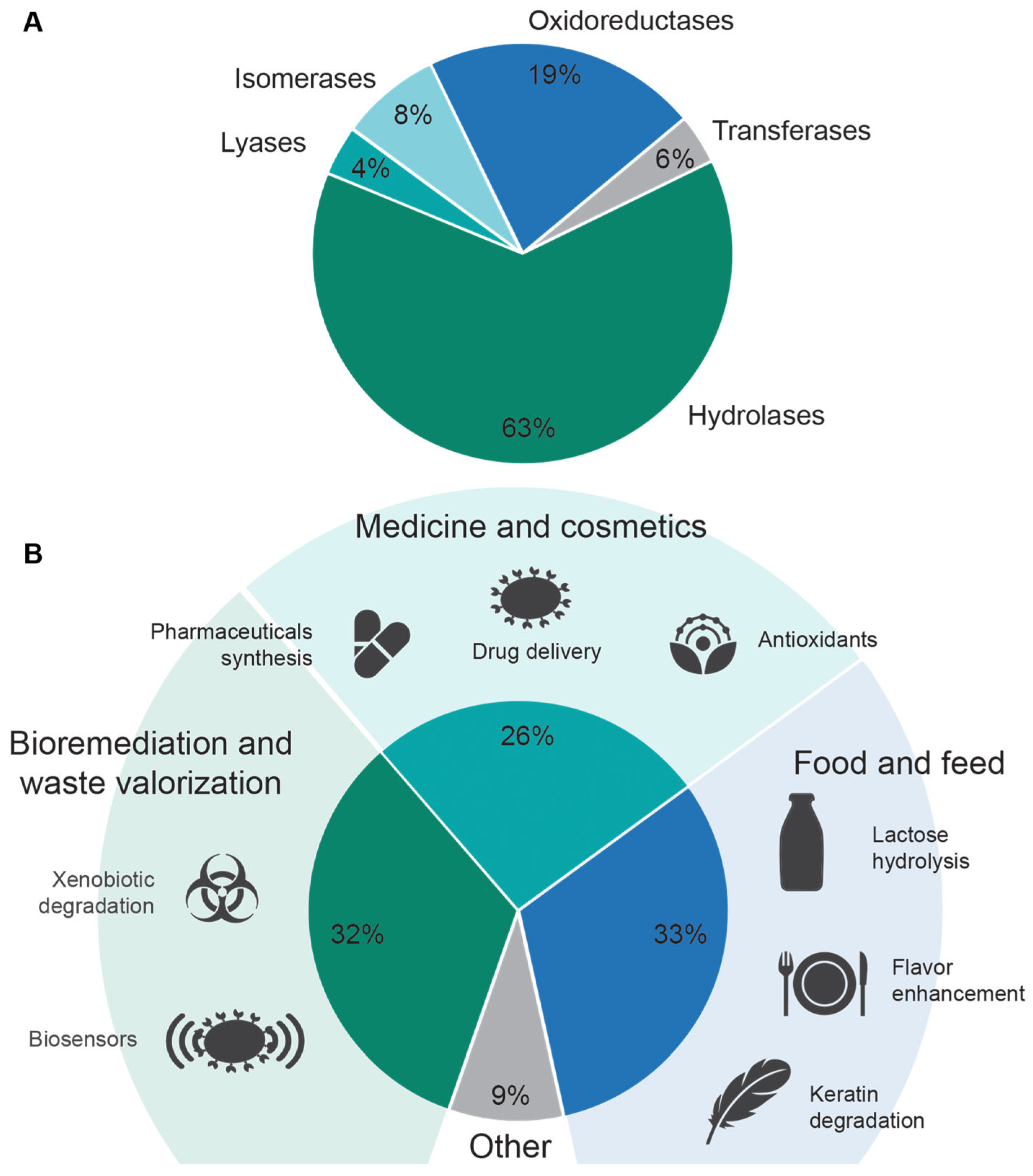Catalysts 15 00894 g004 Catalysts 15 00894 g004