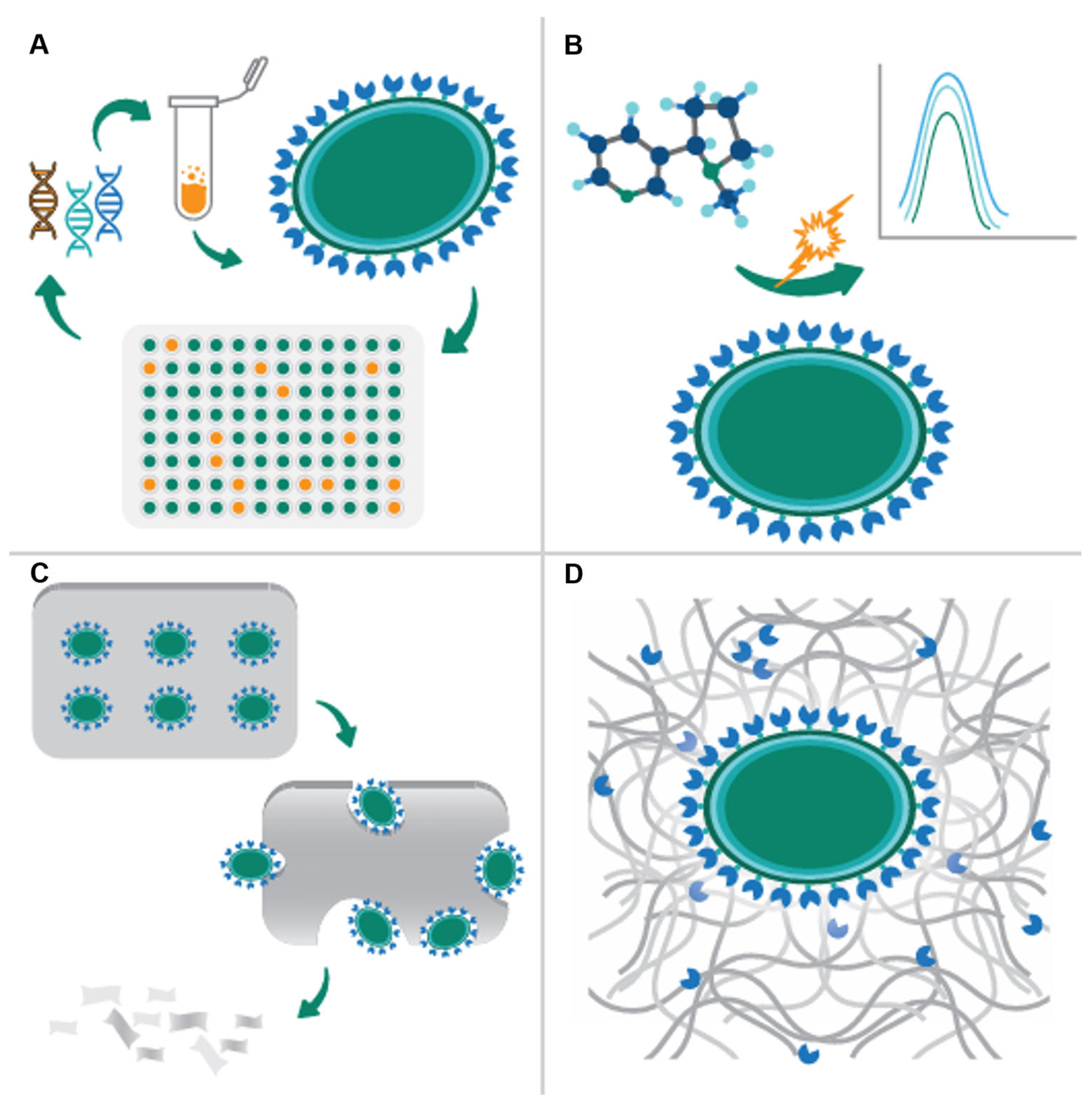 Catalysts 15 00894 g005 Catalysts 15 00894 g005