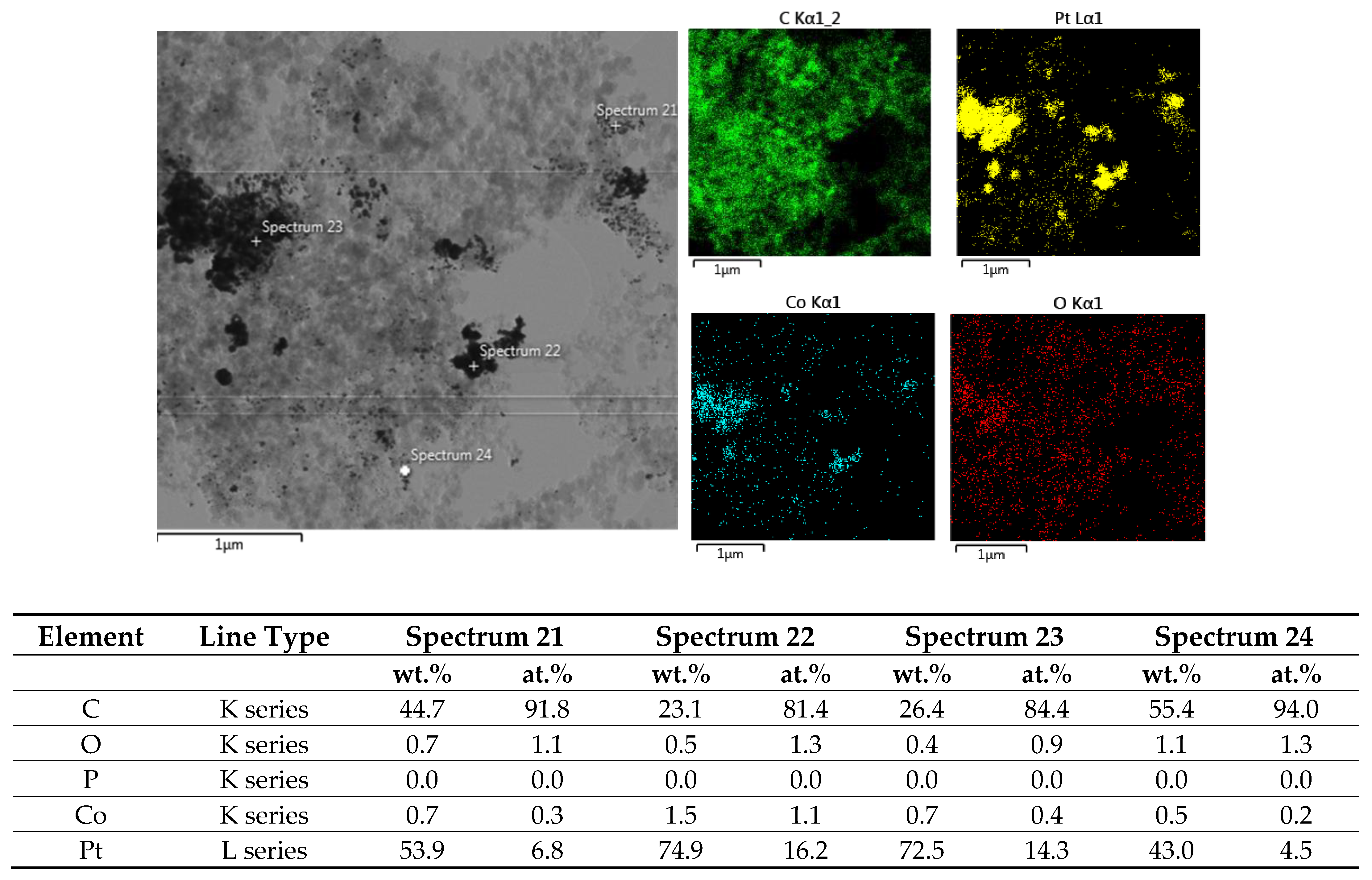 Catalysts 15 00895 g002 Catalysts 15 00895 g002