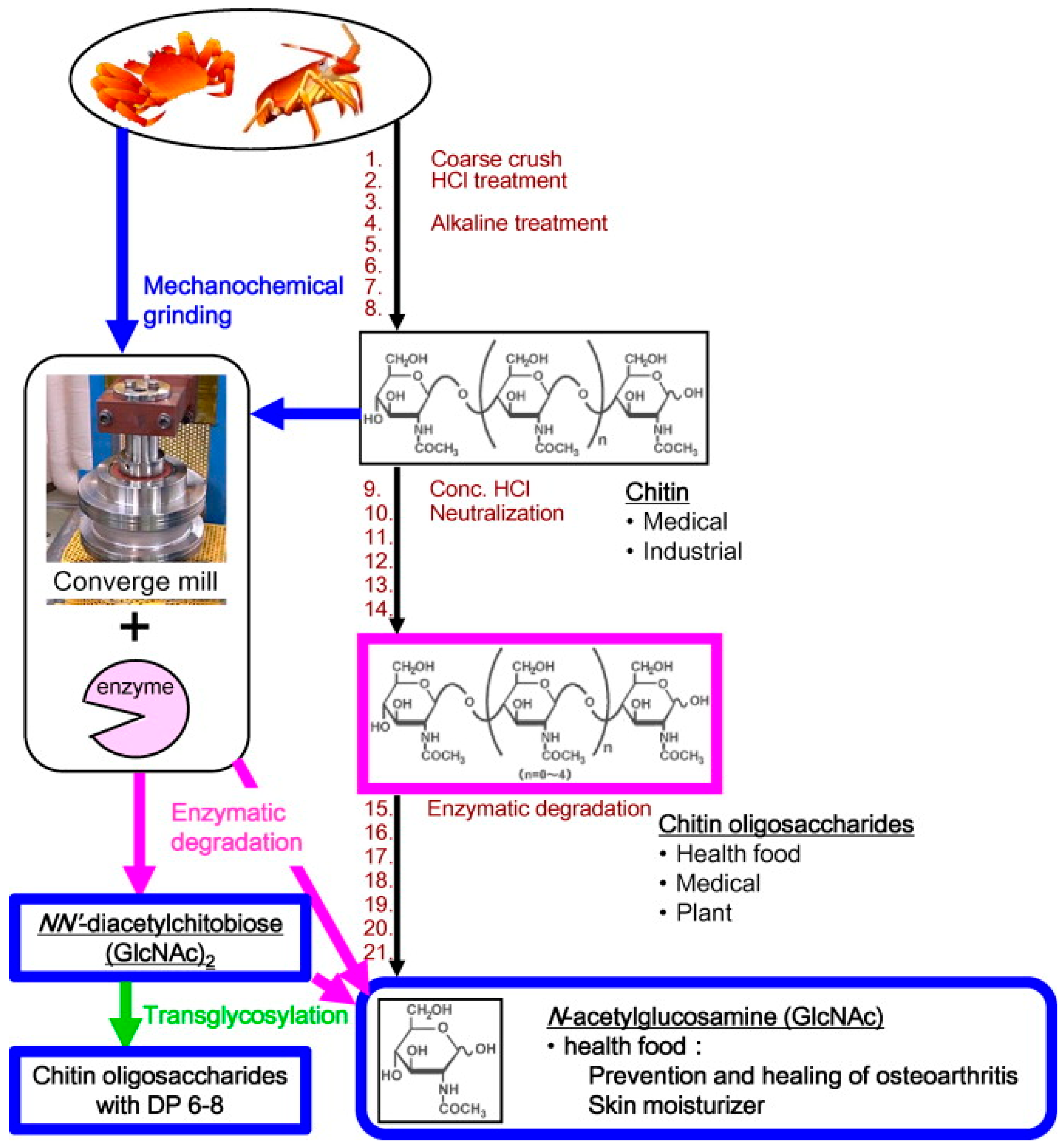 Catalysts 15 00897 g014