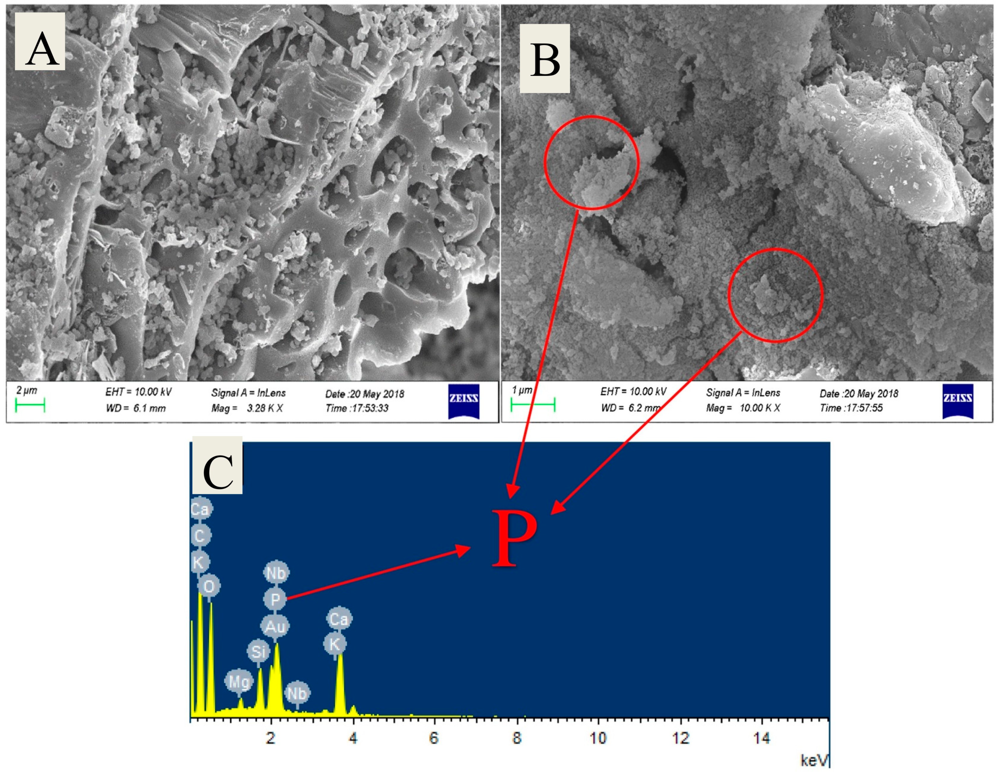 Catalysts 15 00897 g022