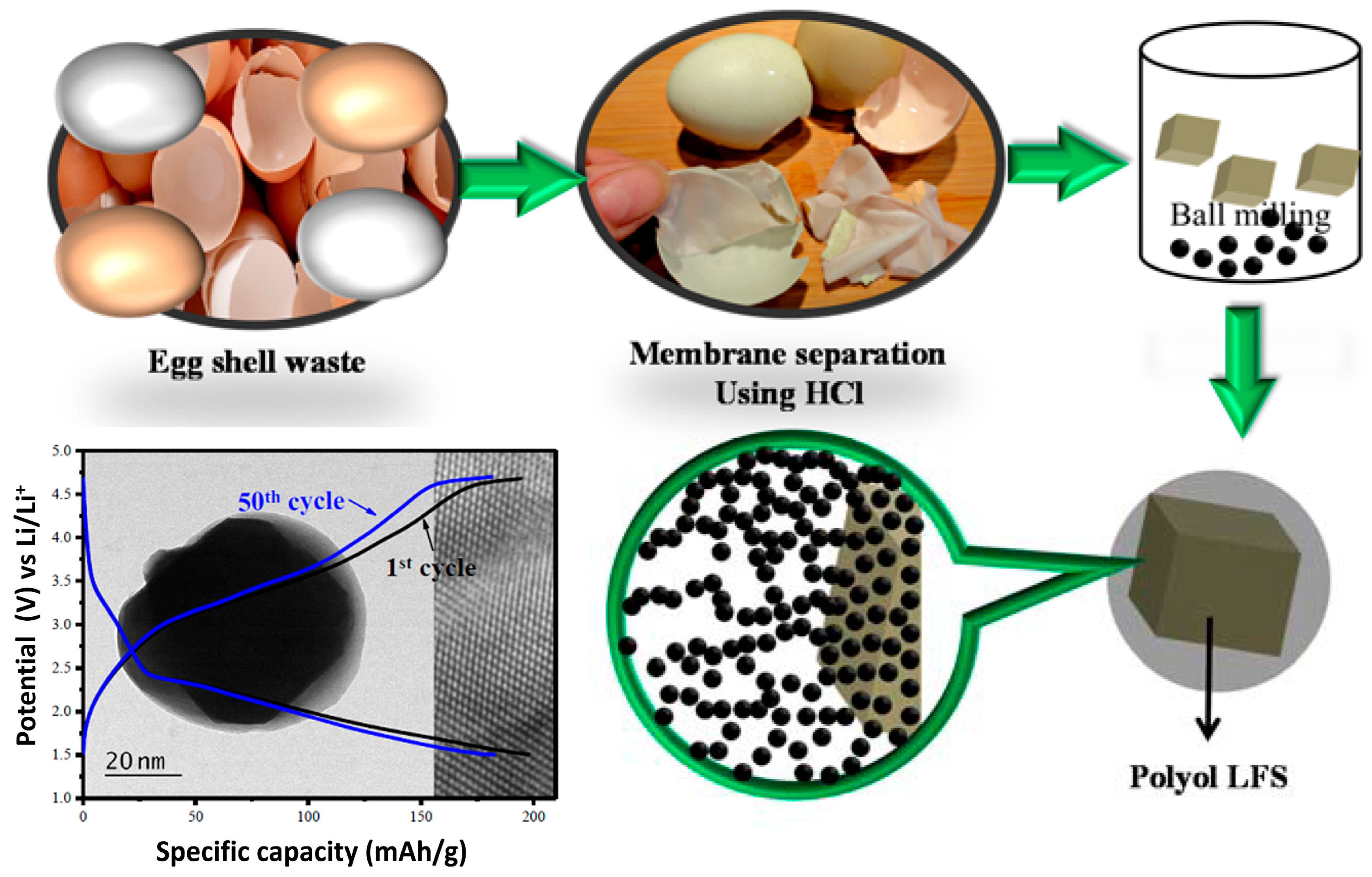 Catalysts 15 00897 g025