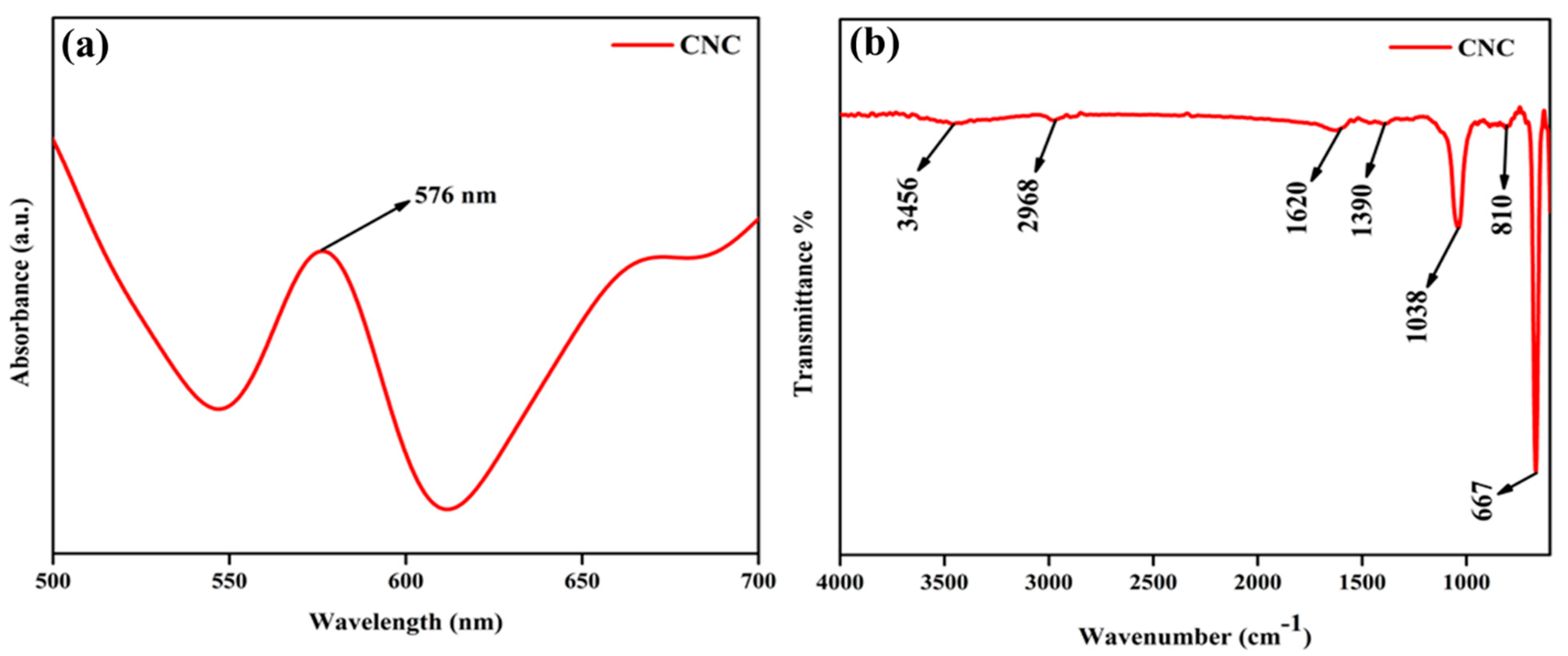 Catalysts 15 00899 g001