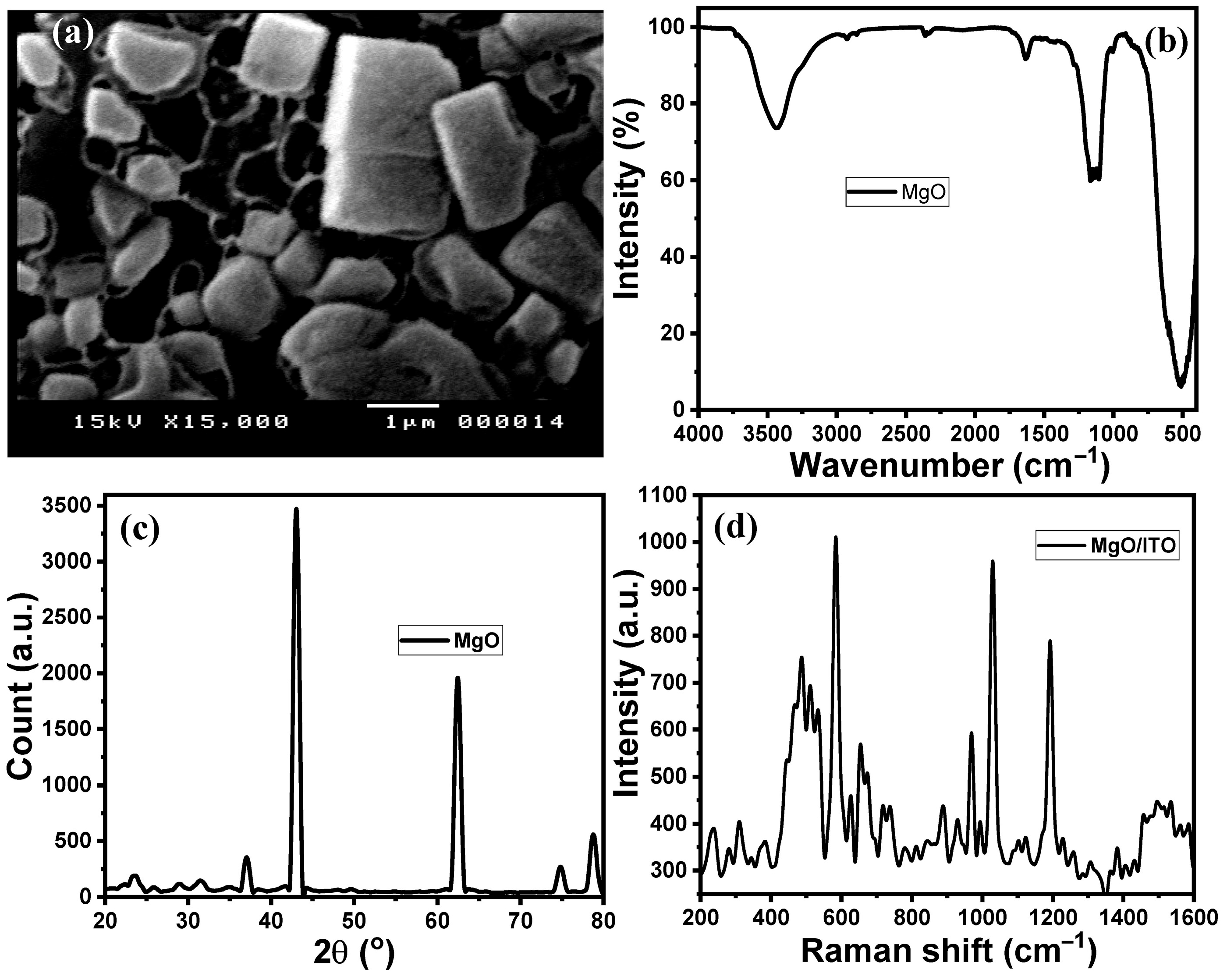 Catalysts 15 00901 g001 Catalysts 15 00901 g001