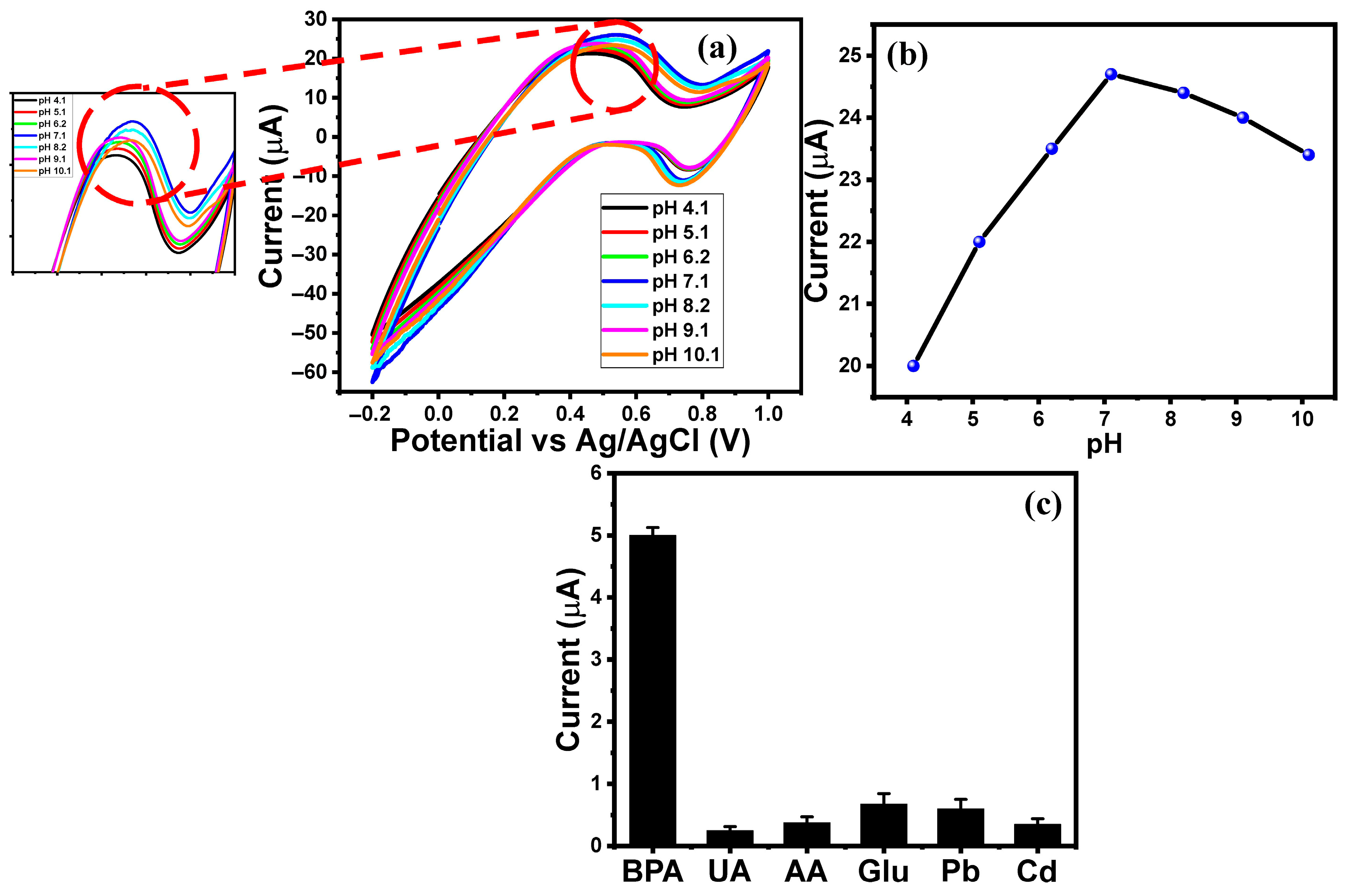 Catalysts 15 00901 g003 Catalysts 15 00901 g003