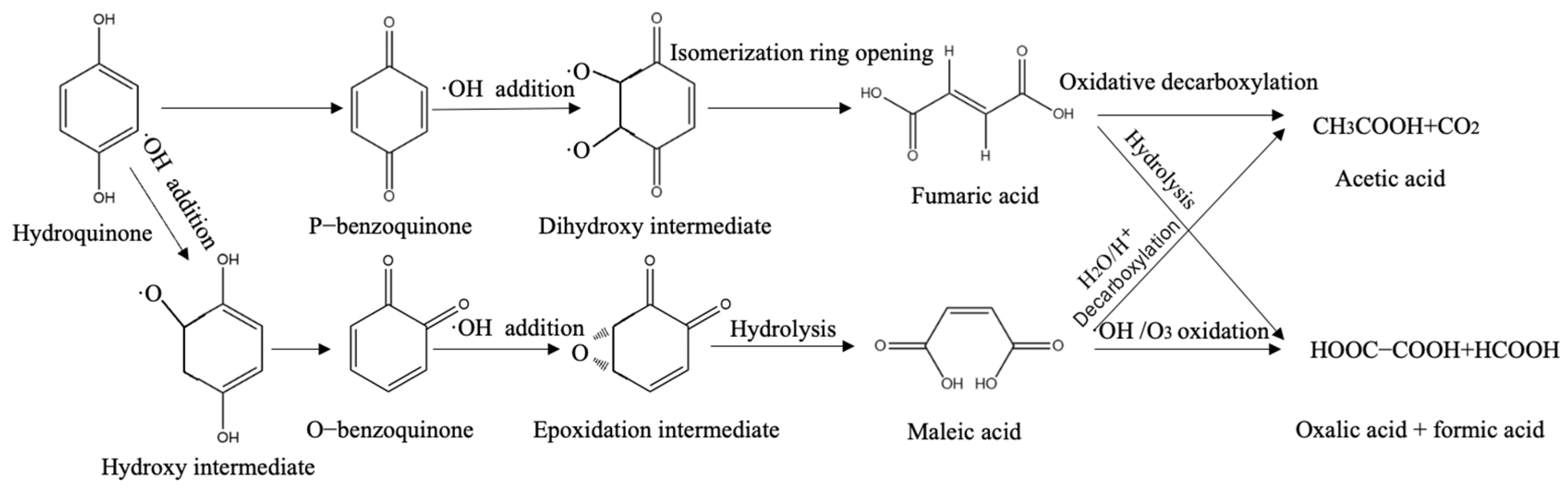 Catalysts 15 00903 g006