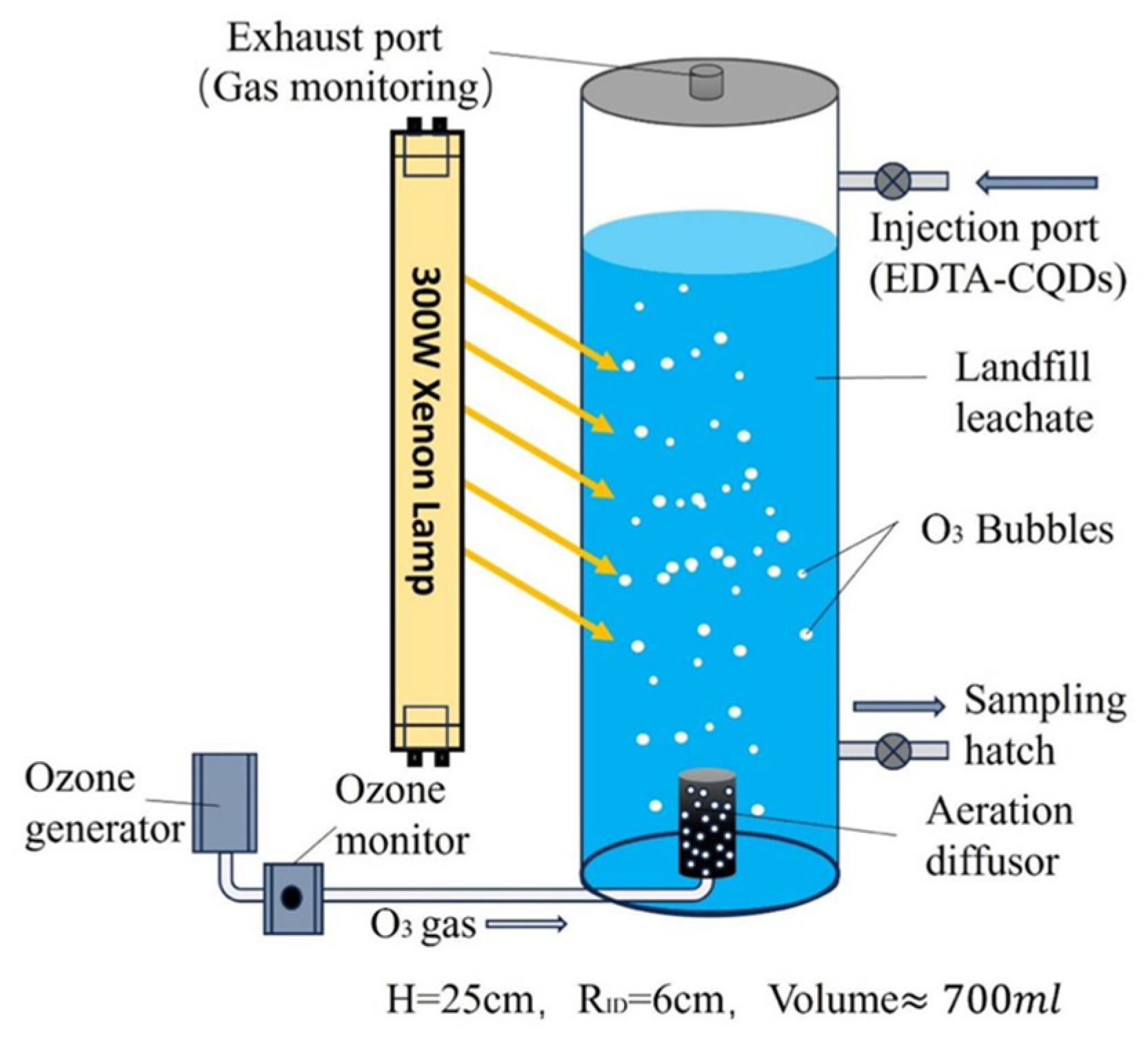Catalysts 15 00903 g008