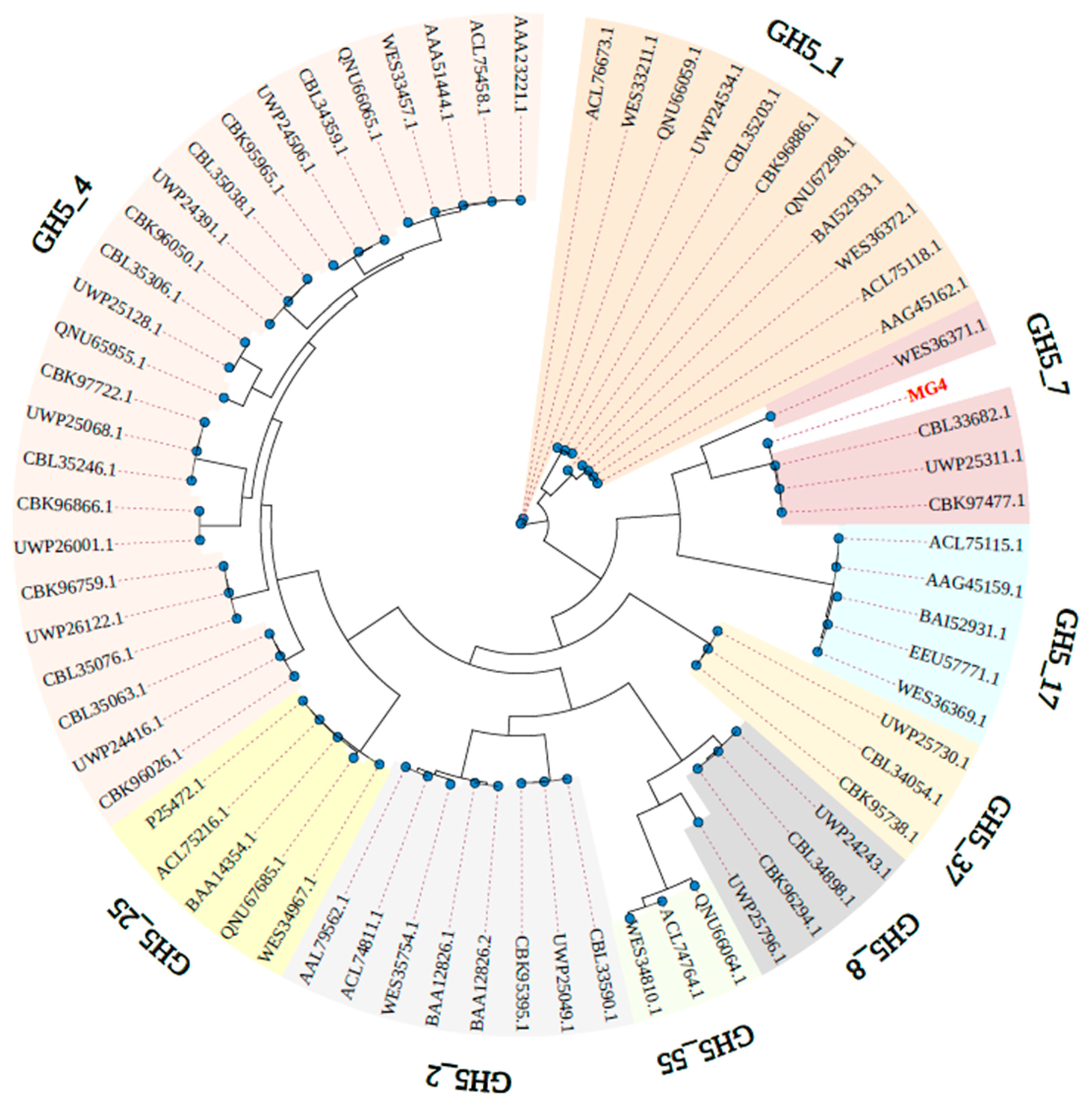 Catalysts 15 00905 g001