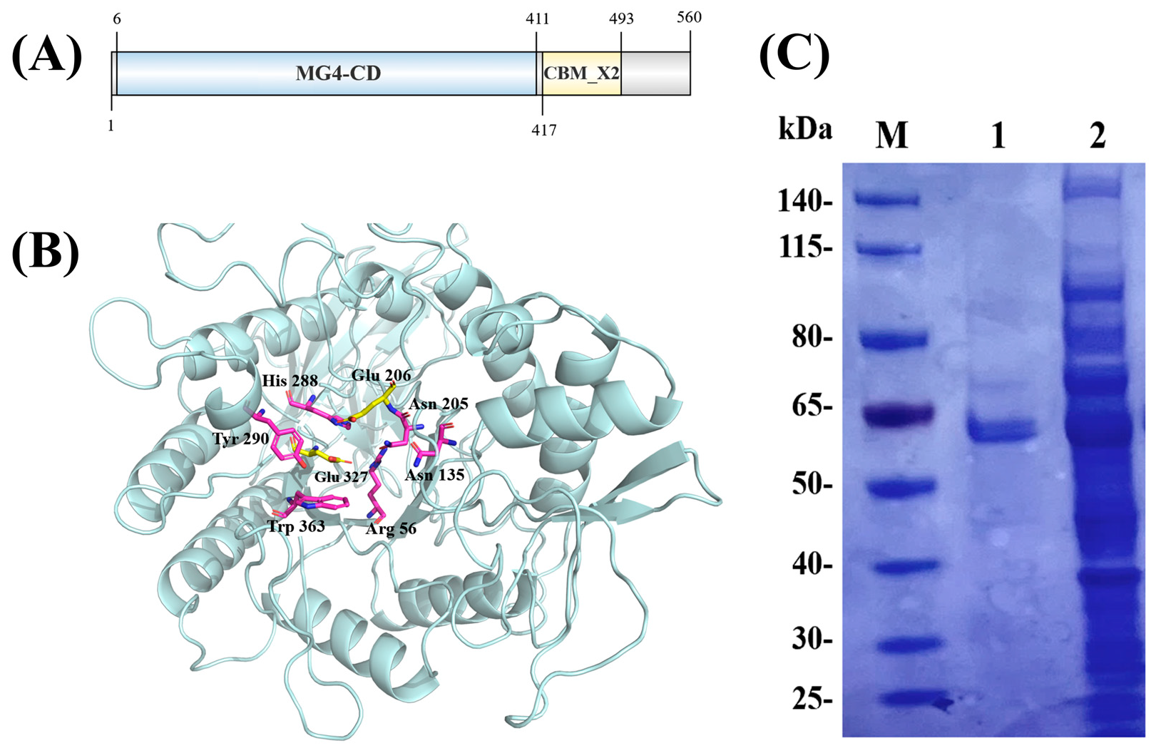 Catalysts 15 00905 g003