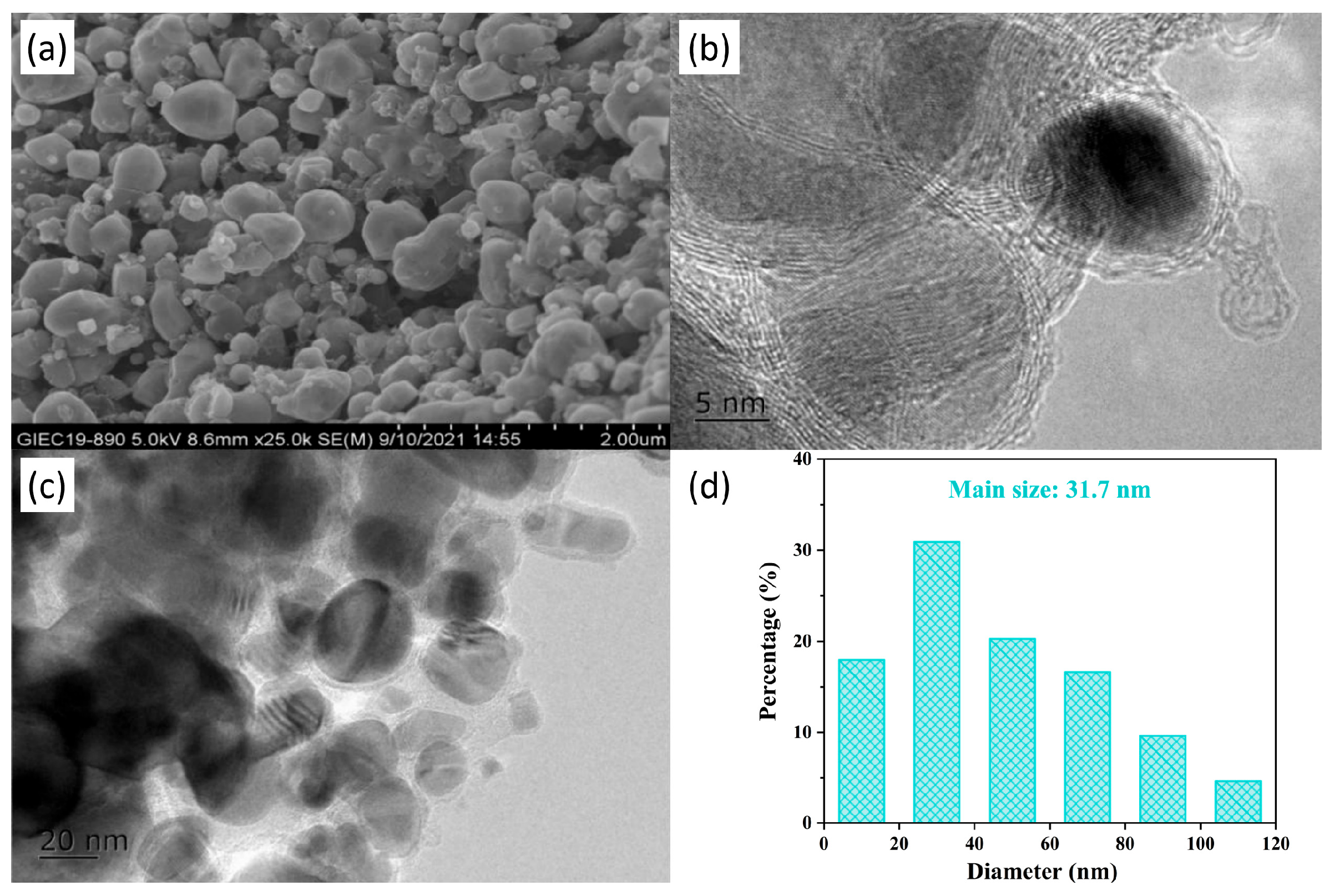 Catalysts 15 00906 g002