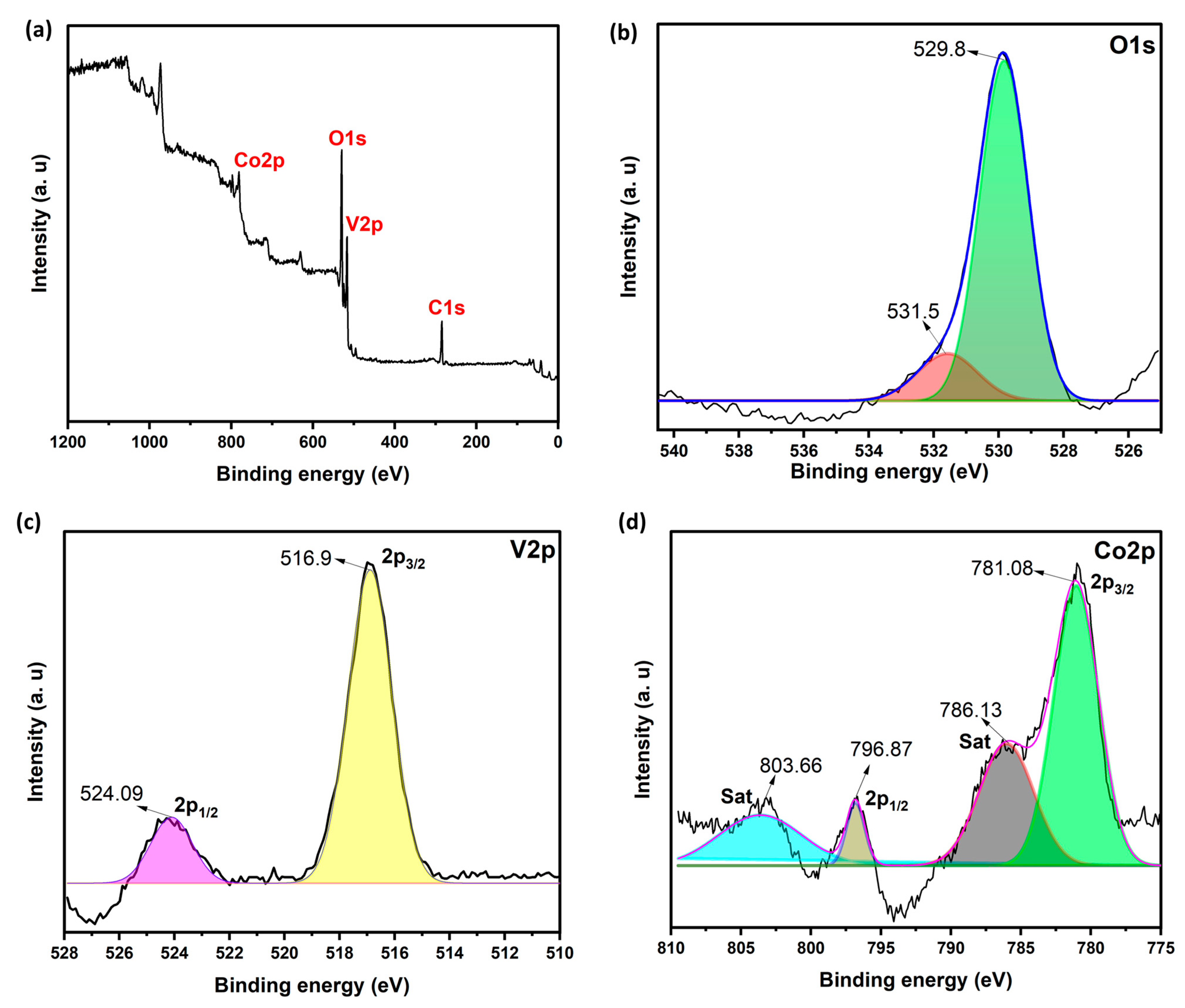 Catalysts 15 00908 g002