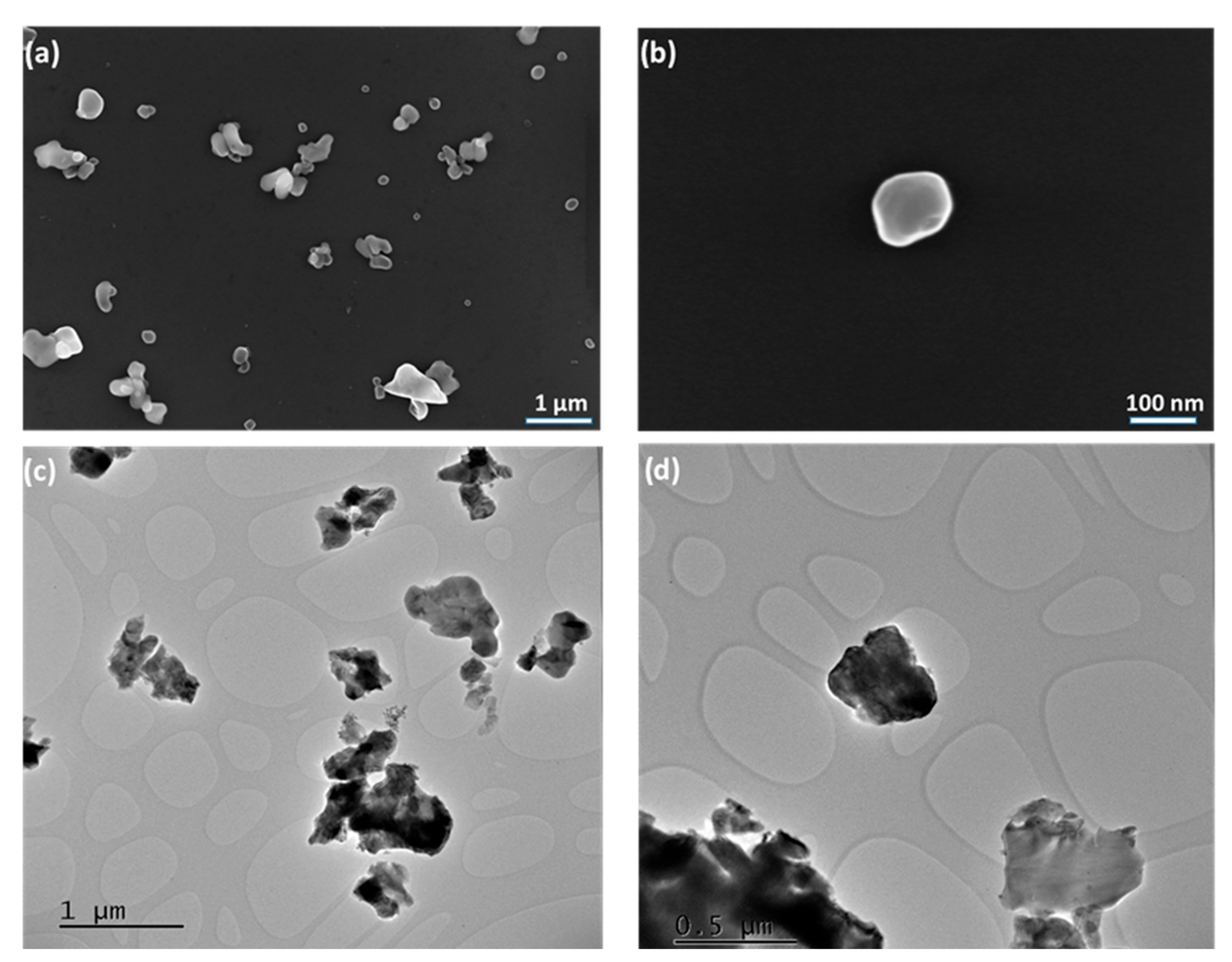Catalysts 15 00908 g003