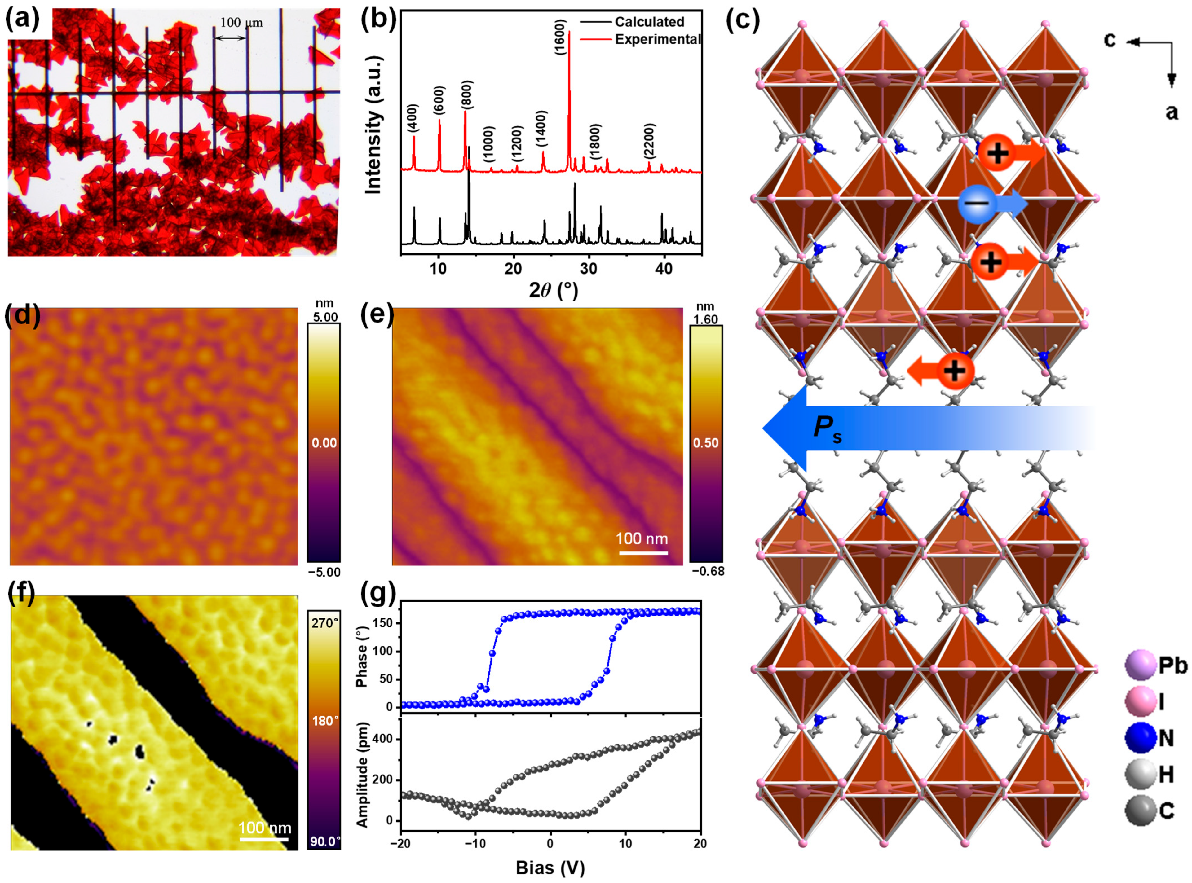 Two-Dimensional Multilayered Ferroelectric with Polarization