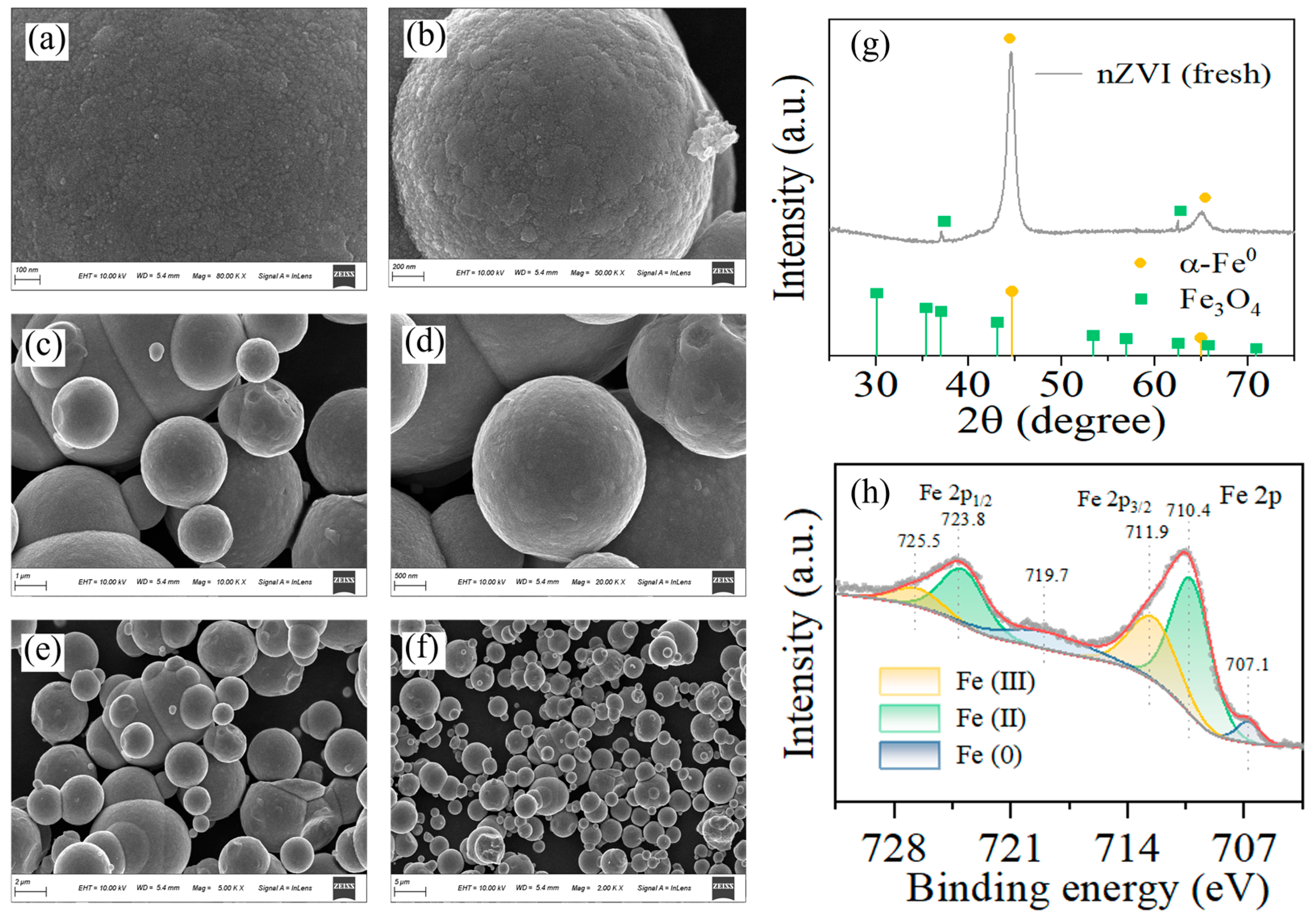 Catalysts 15 00911 g001 Catalysts 15 00911 g001