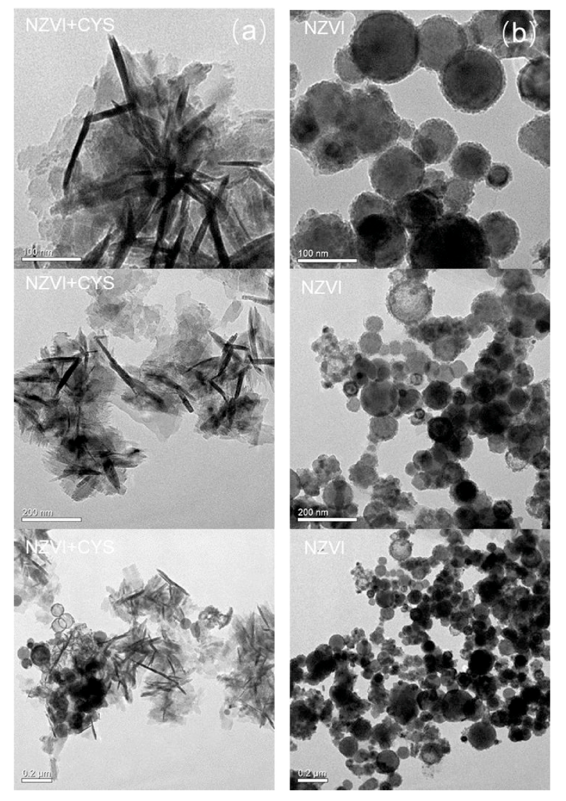 Catalysts 15 00911 g0a1 Catalysts 15 00911 g0a1