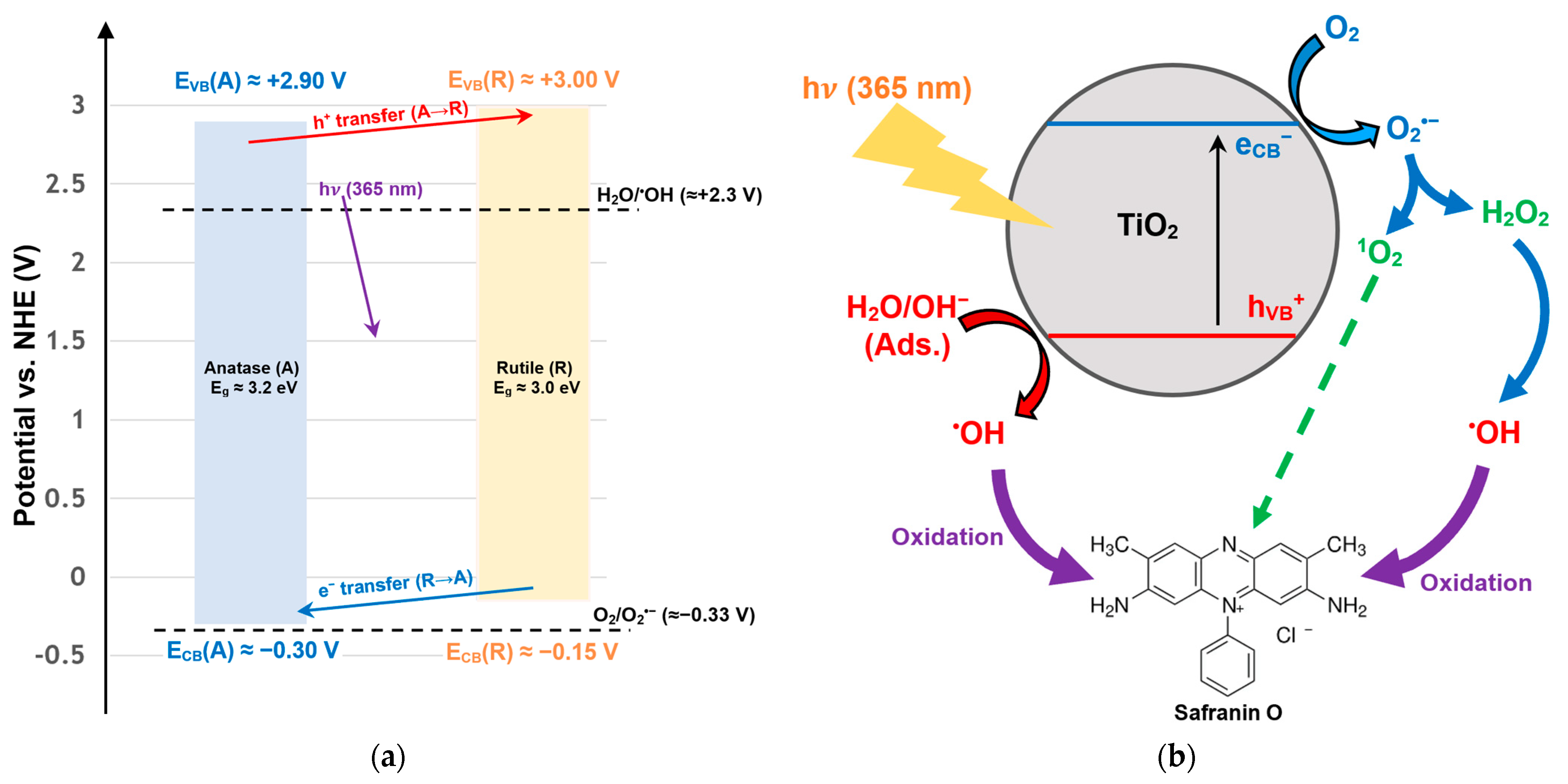 Catalysts 15 00914 g011