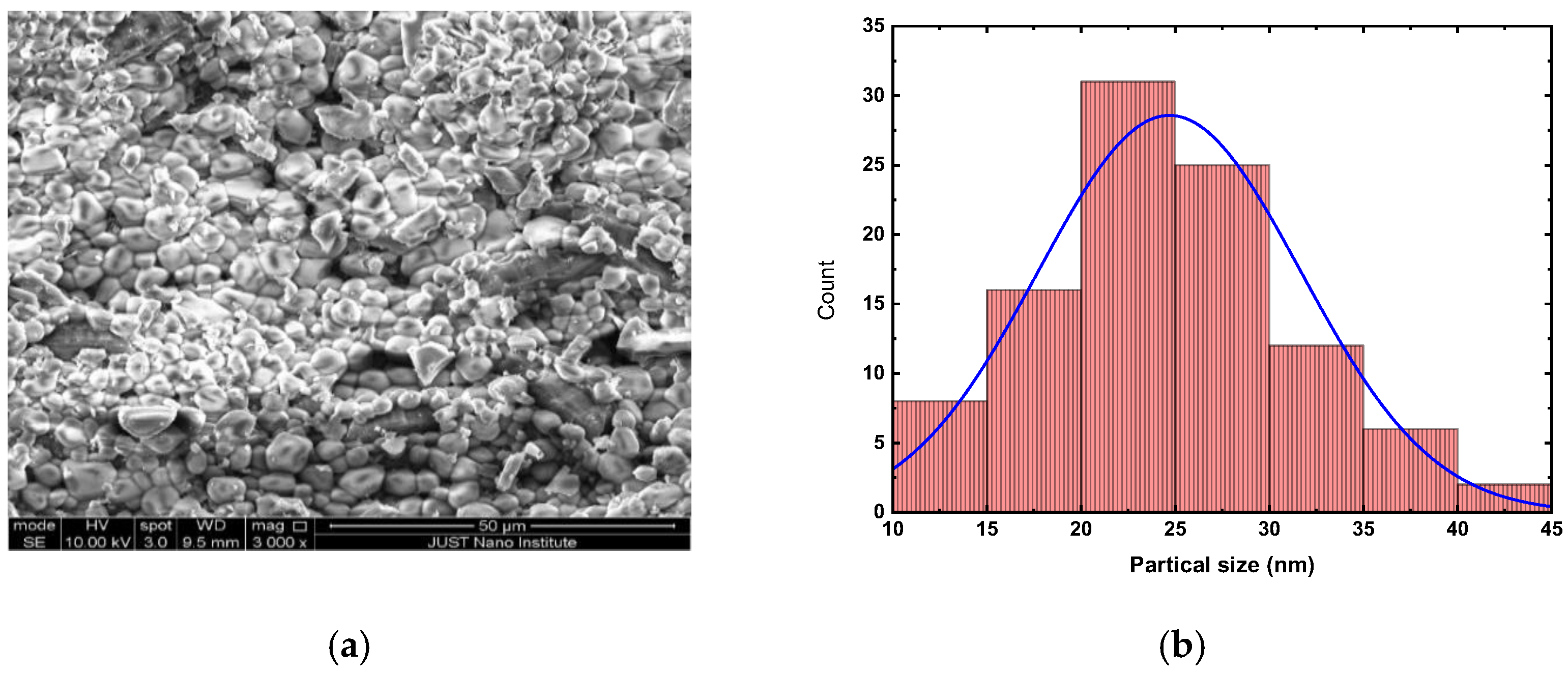 Catalysts 15 00920 g005 Catalysts 15 00920 g005