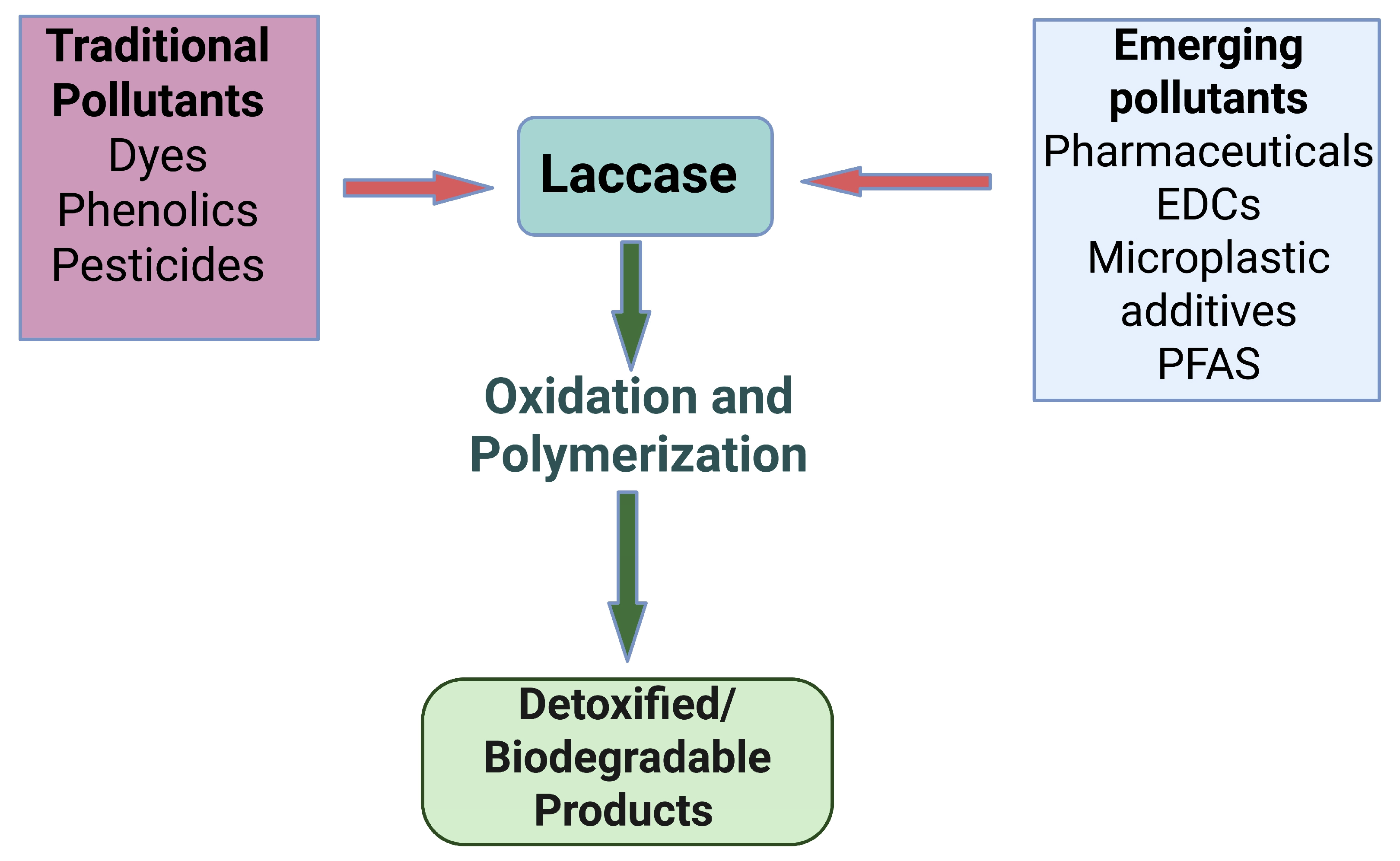 Catalysts 15 00921 g002 Catalysts 15 00921 g002