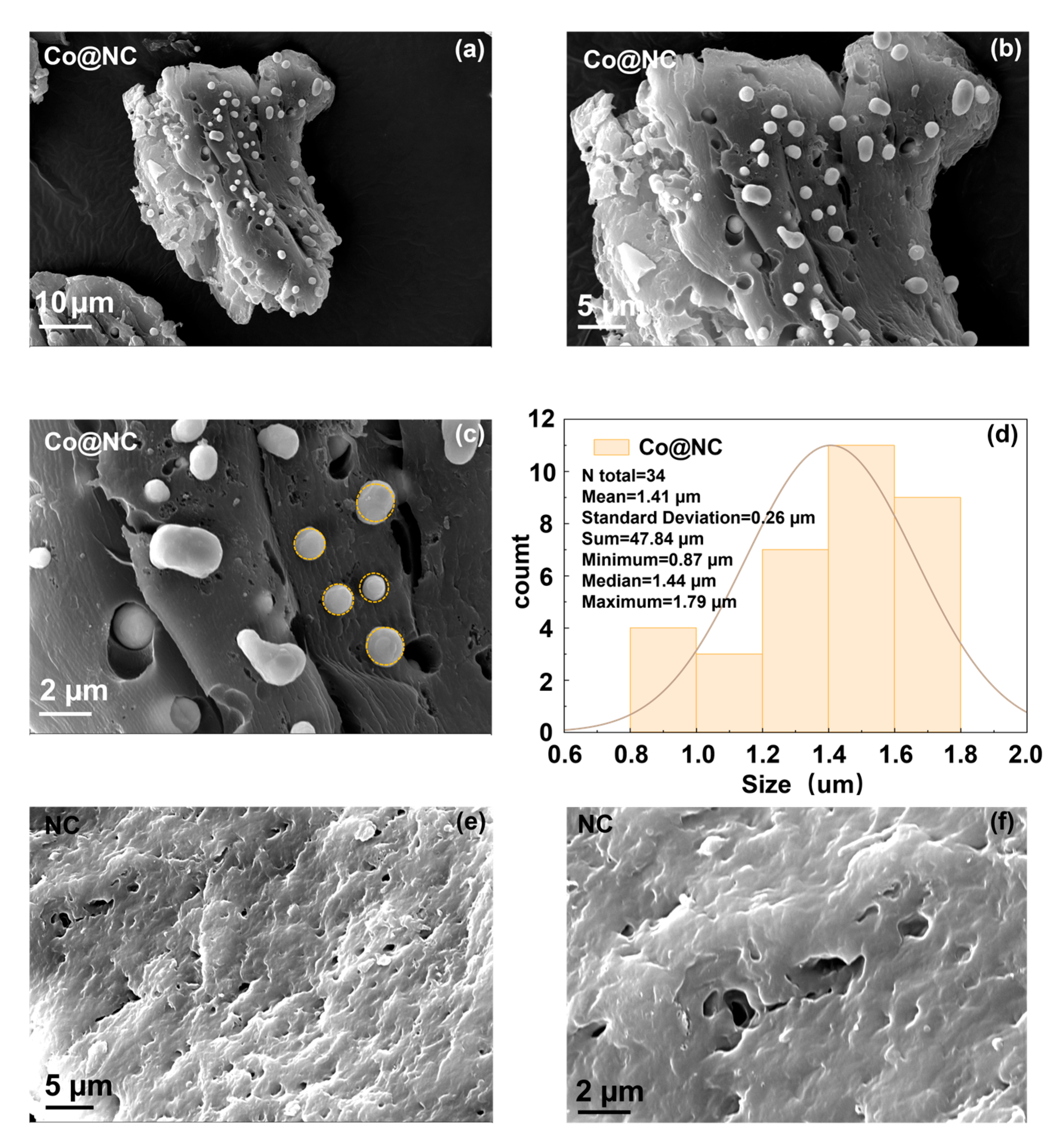 Catalysts 15 00923 g002