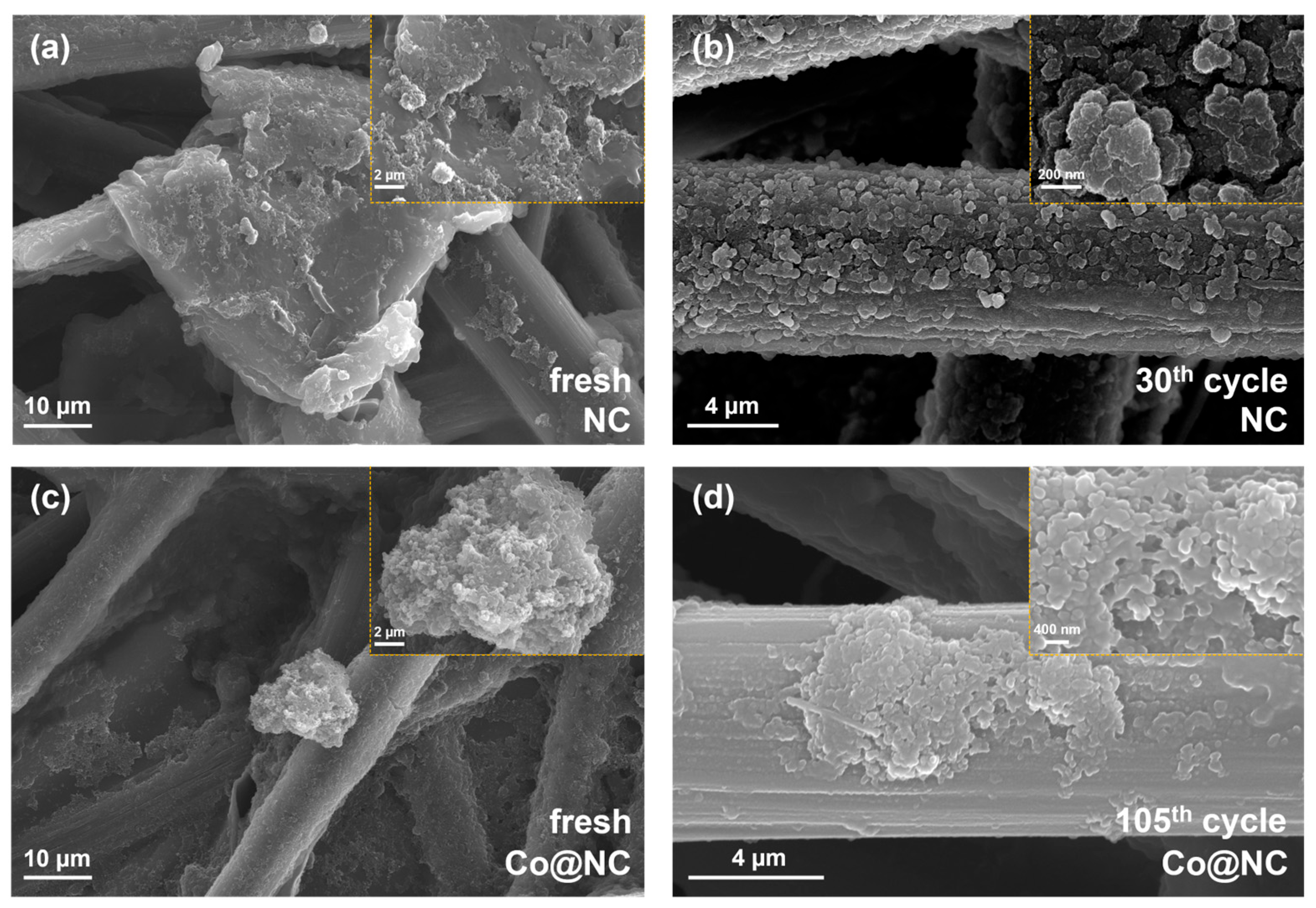 Catalysts 15 00923 g008