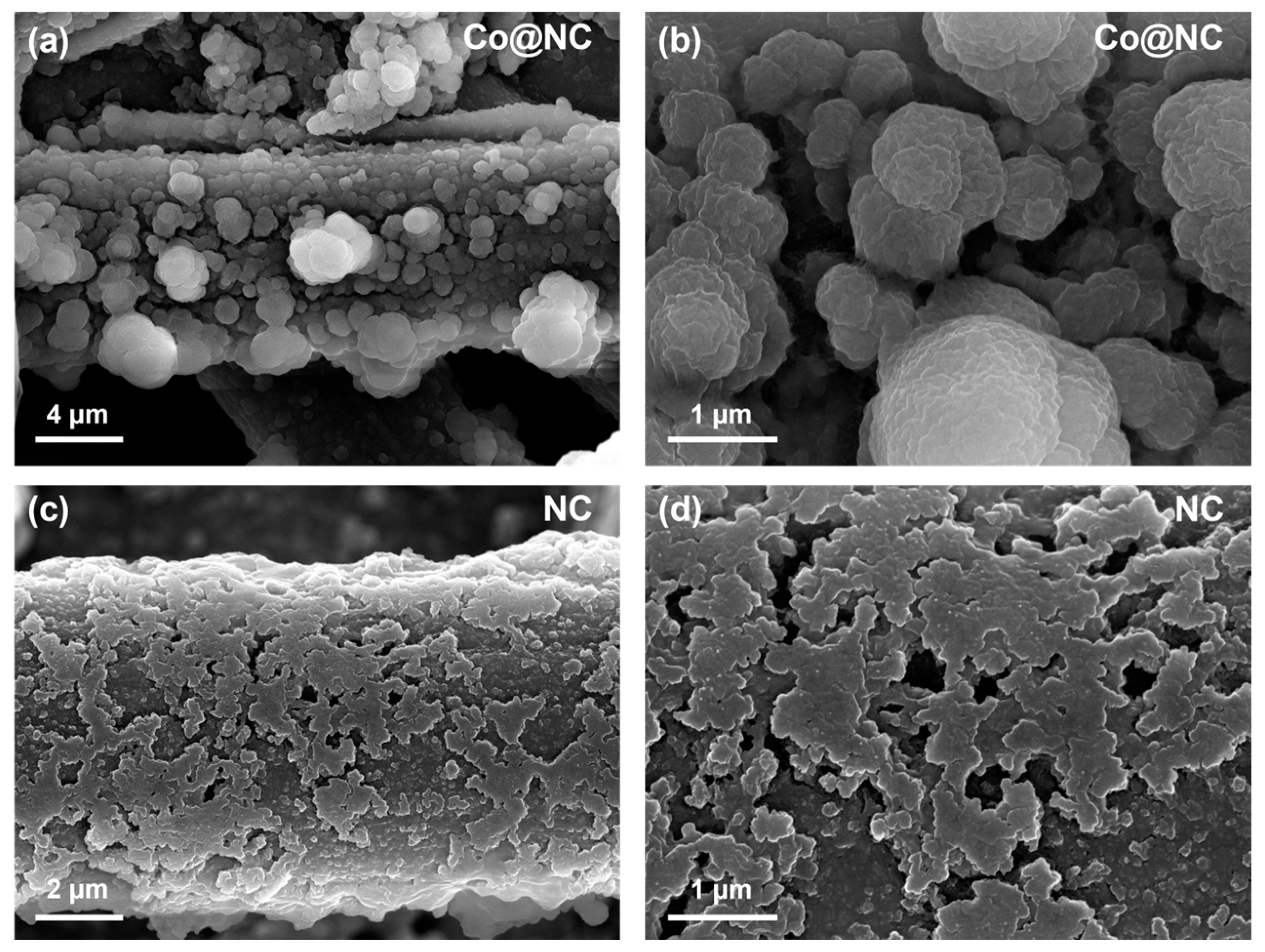 Catalysts 15 00923 g009