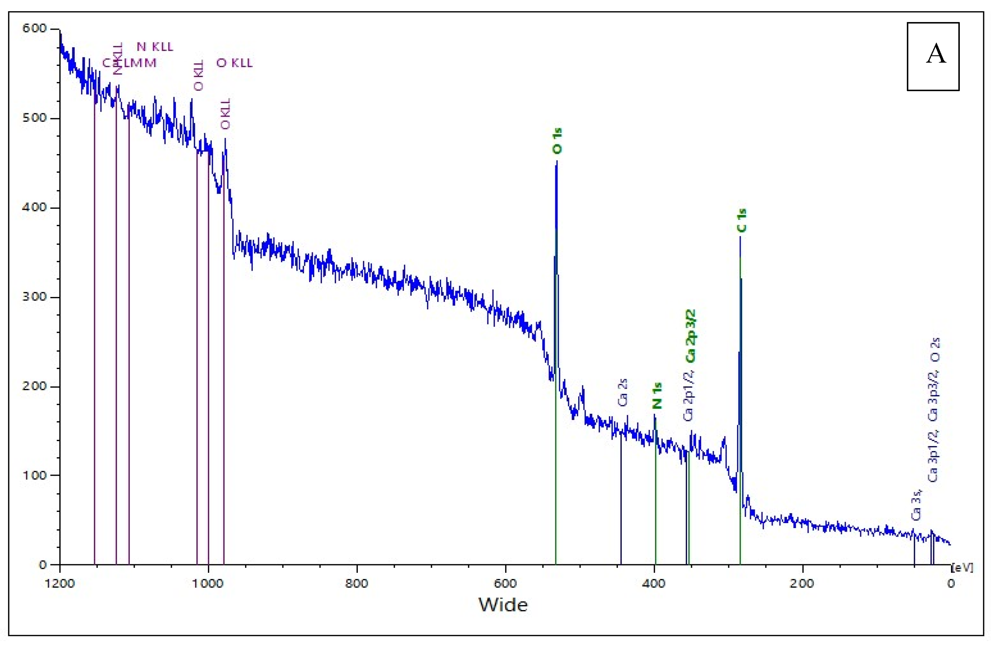 Catalysts 15 00924 g008a Catalysts 15 00924 g008a