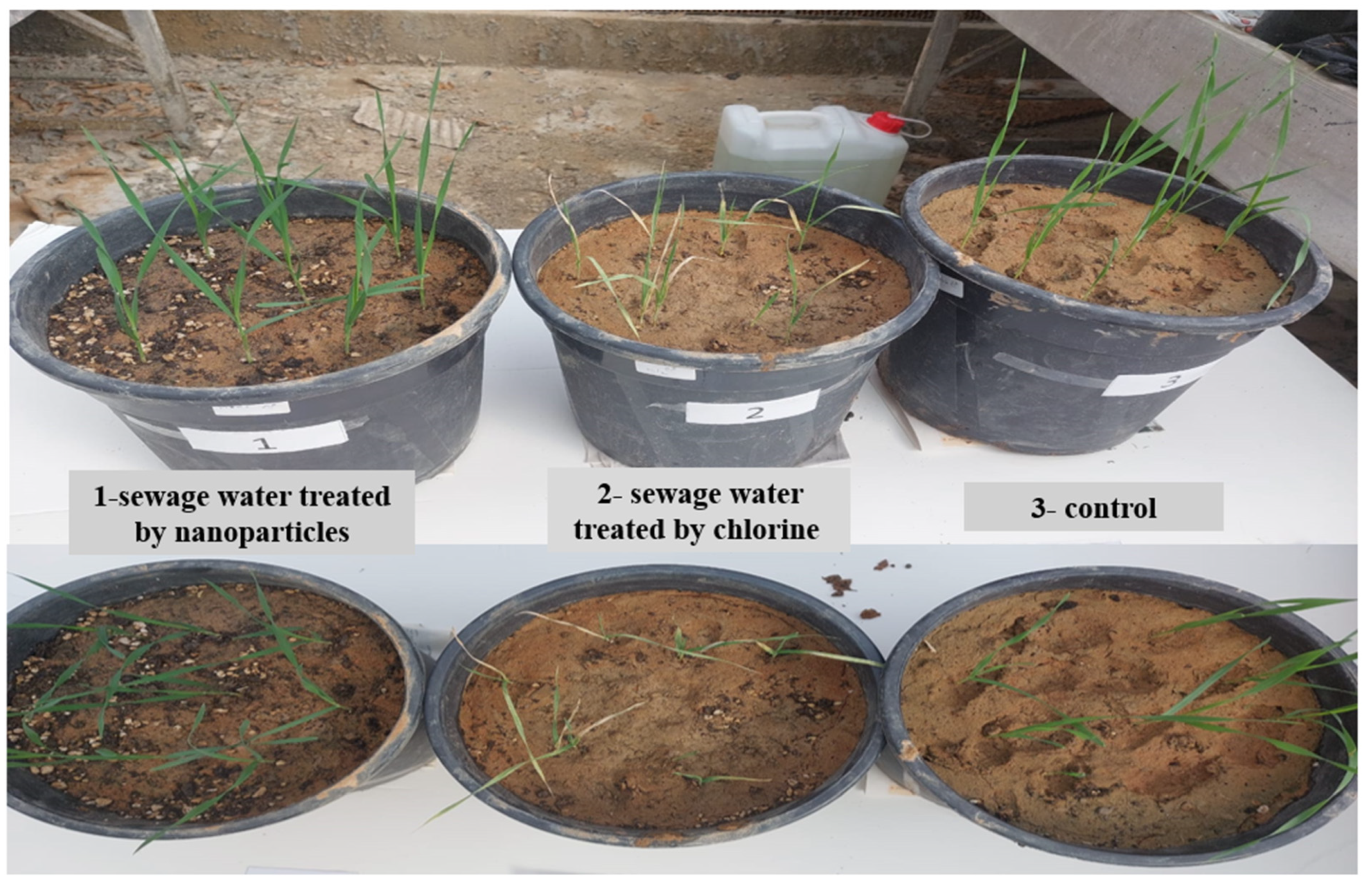 Catalysts 15 00924 g010 Catalysts 15 00924 g010