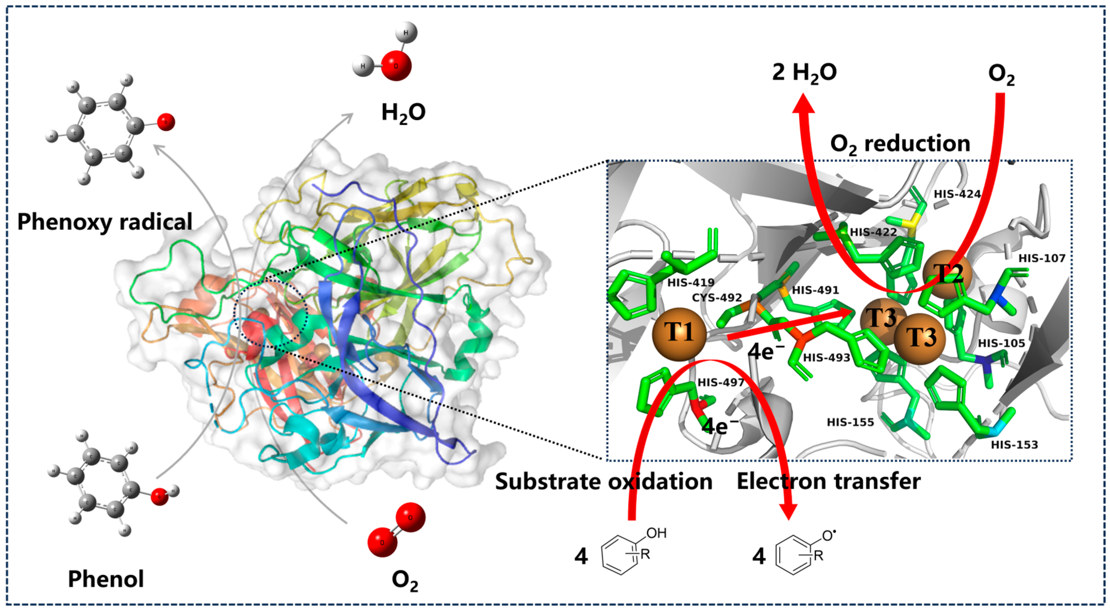 Catalysts 15 00932 g001 Catalysts 15 00932 g001