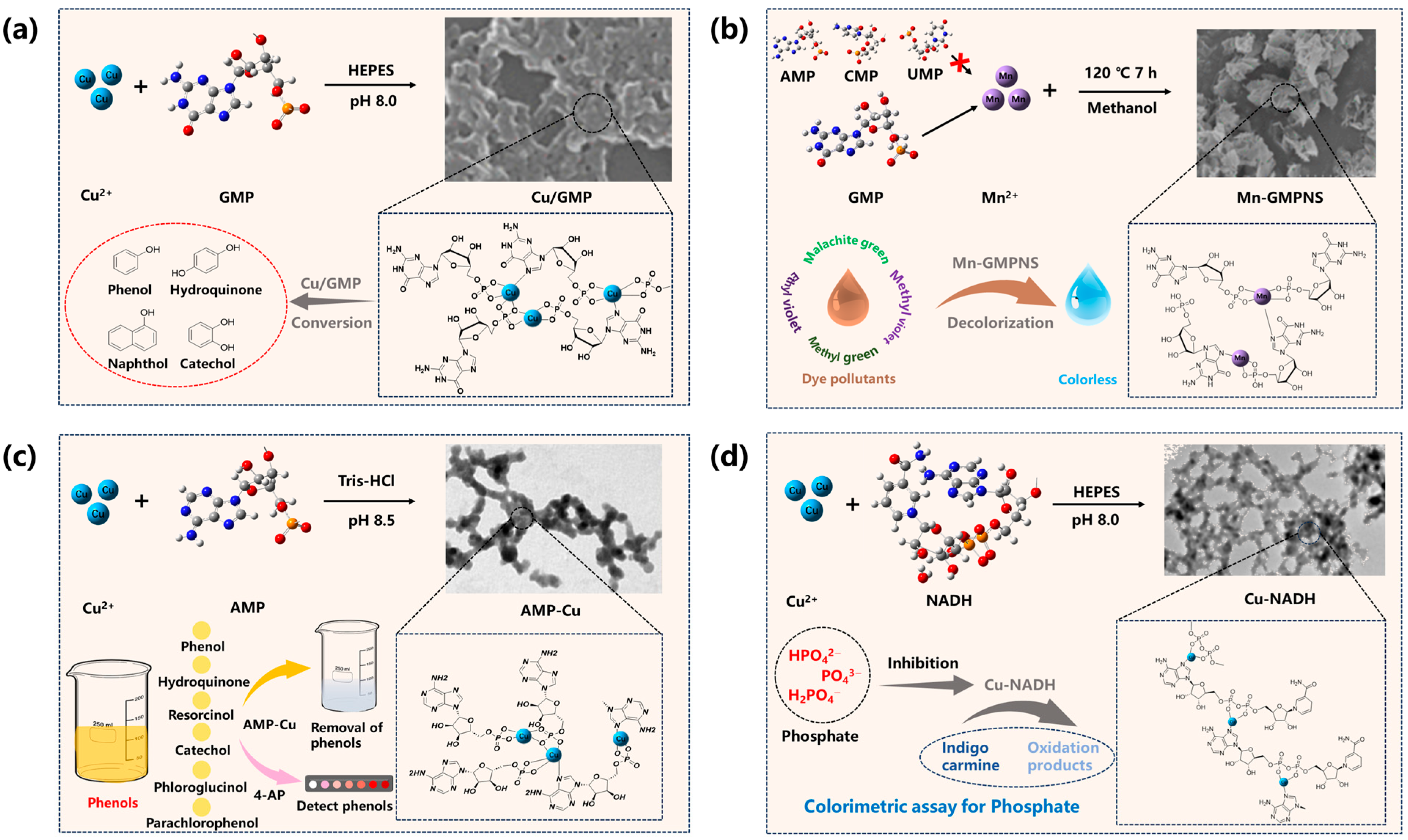 Catalysts 15 00932 g002 Catalysts 15 00932 g002