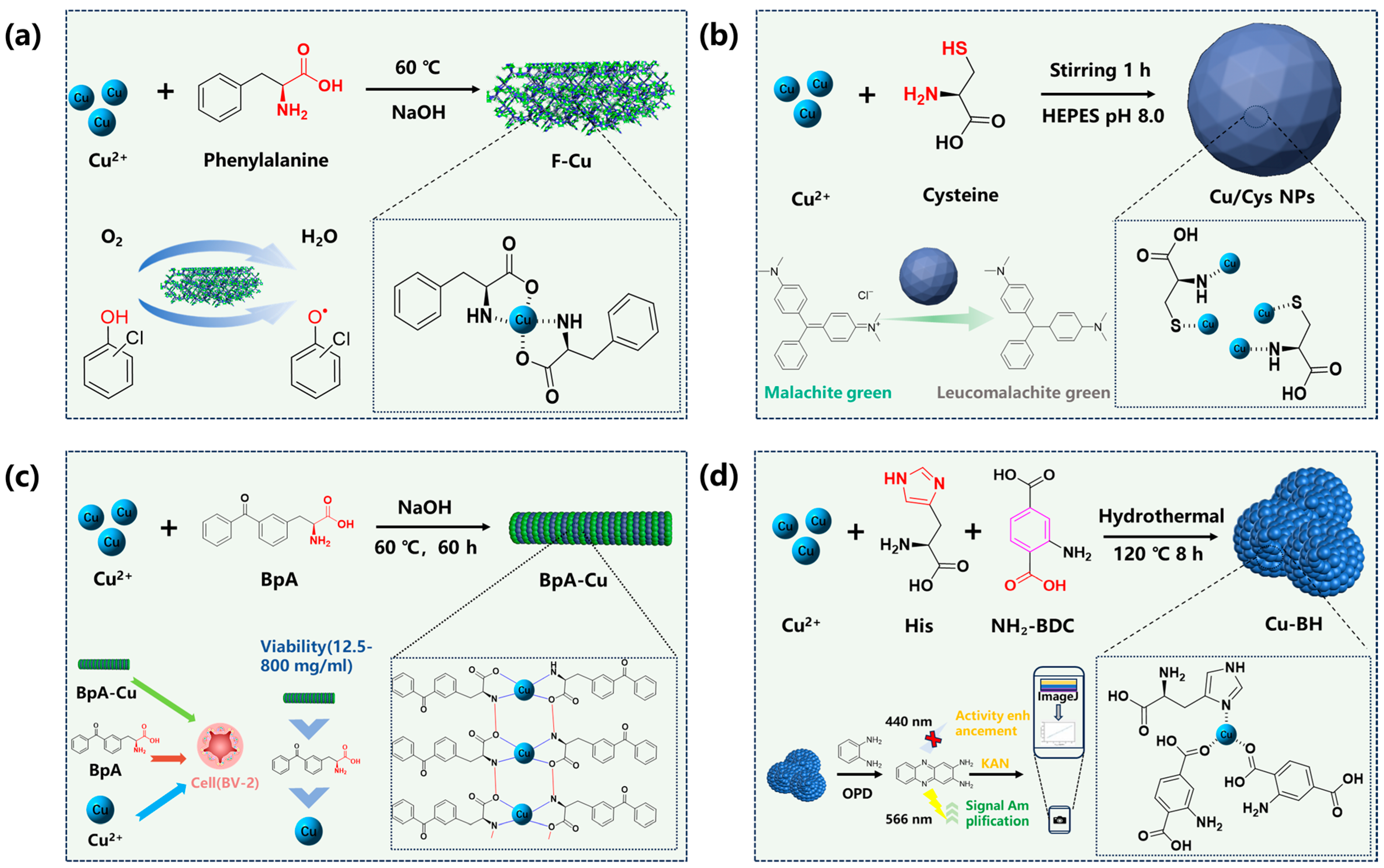 Catalysts 15 00932 g004 Catalysts 15 00932 g004