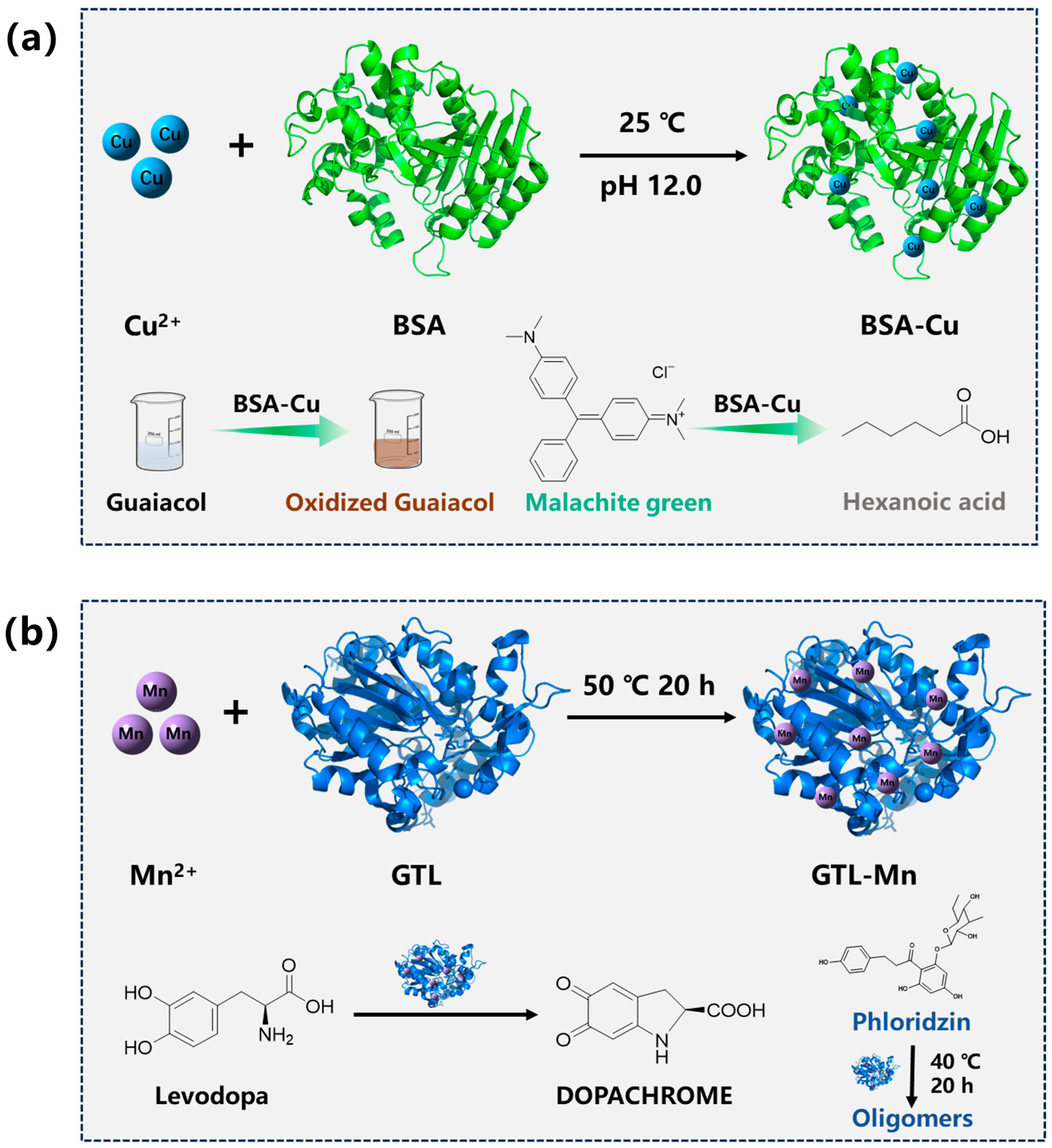 Catalysts 15 00932 g006 Catalysts 15 00932 g006