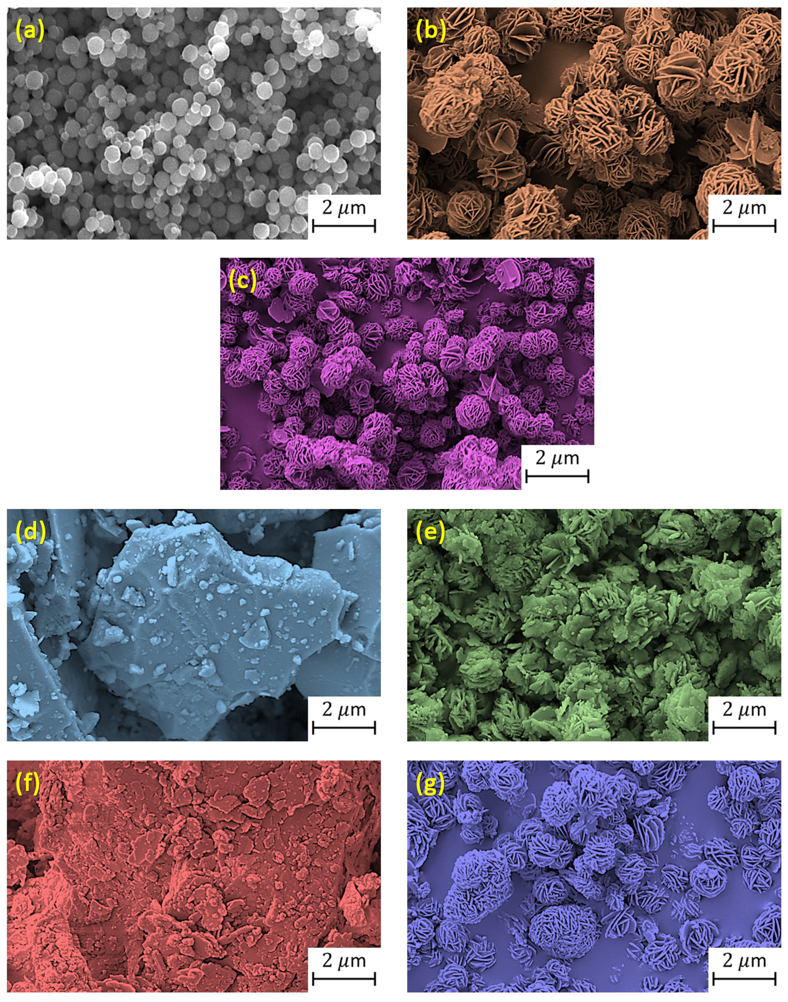 Catalysts 15 00937 g004