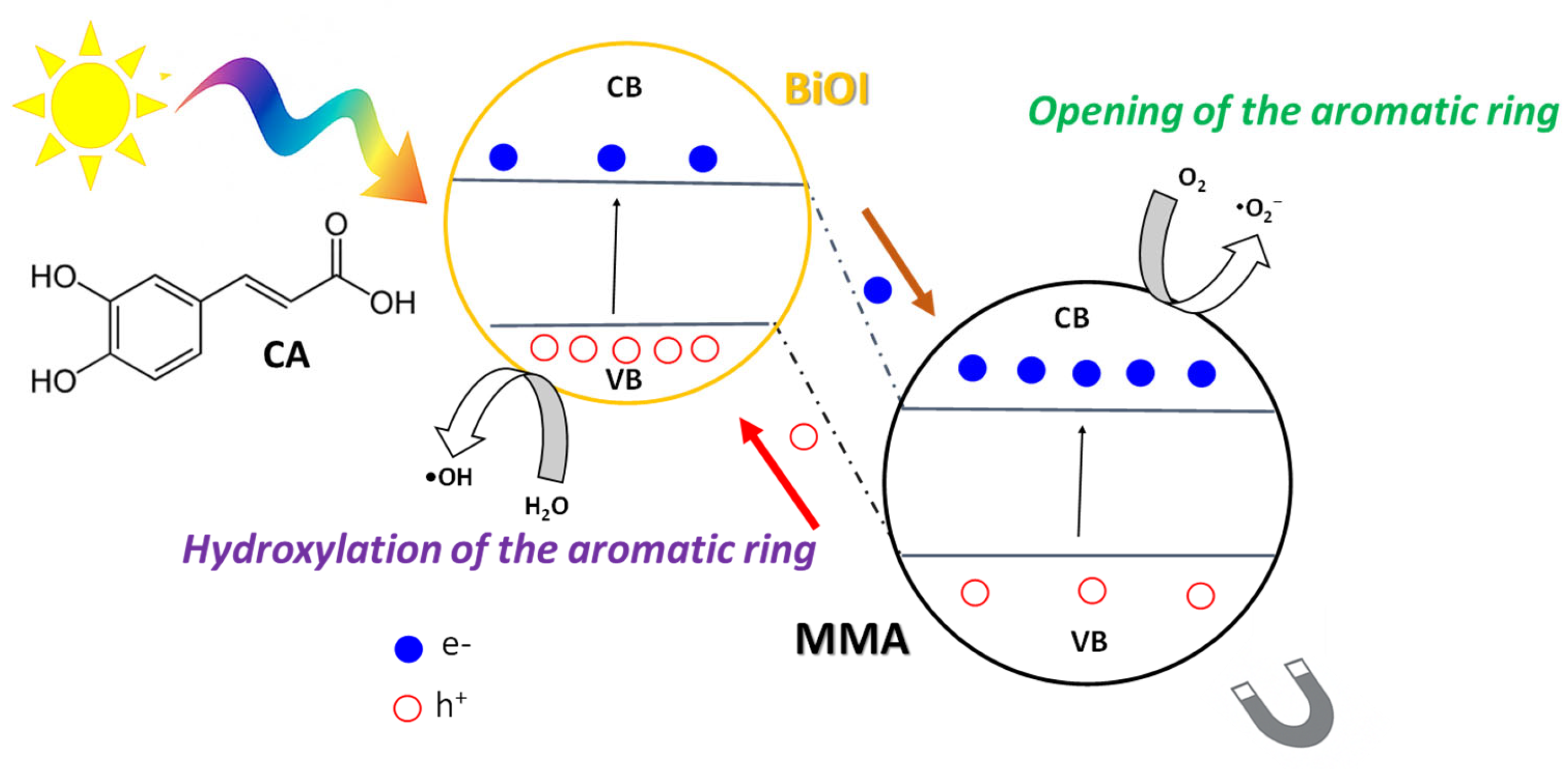 Catalysts 15 00937 g009