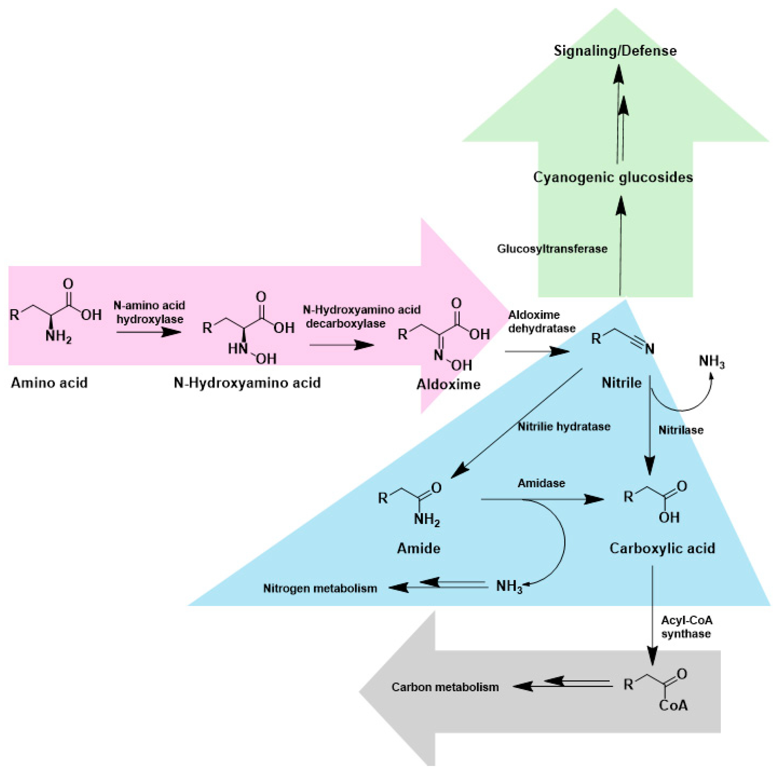 Catalysts 15 00939 g001