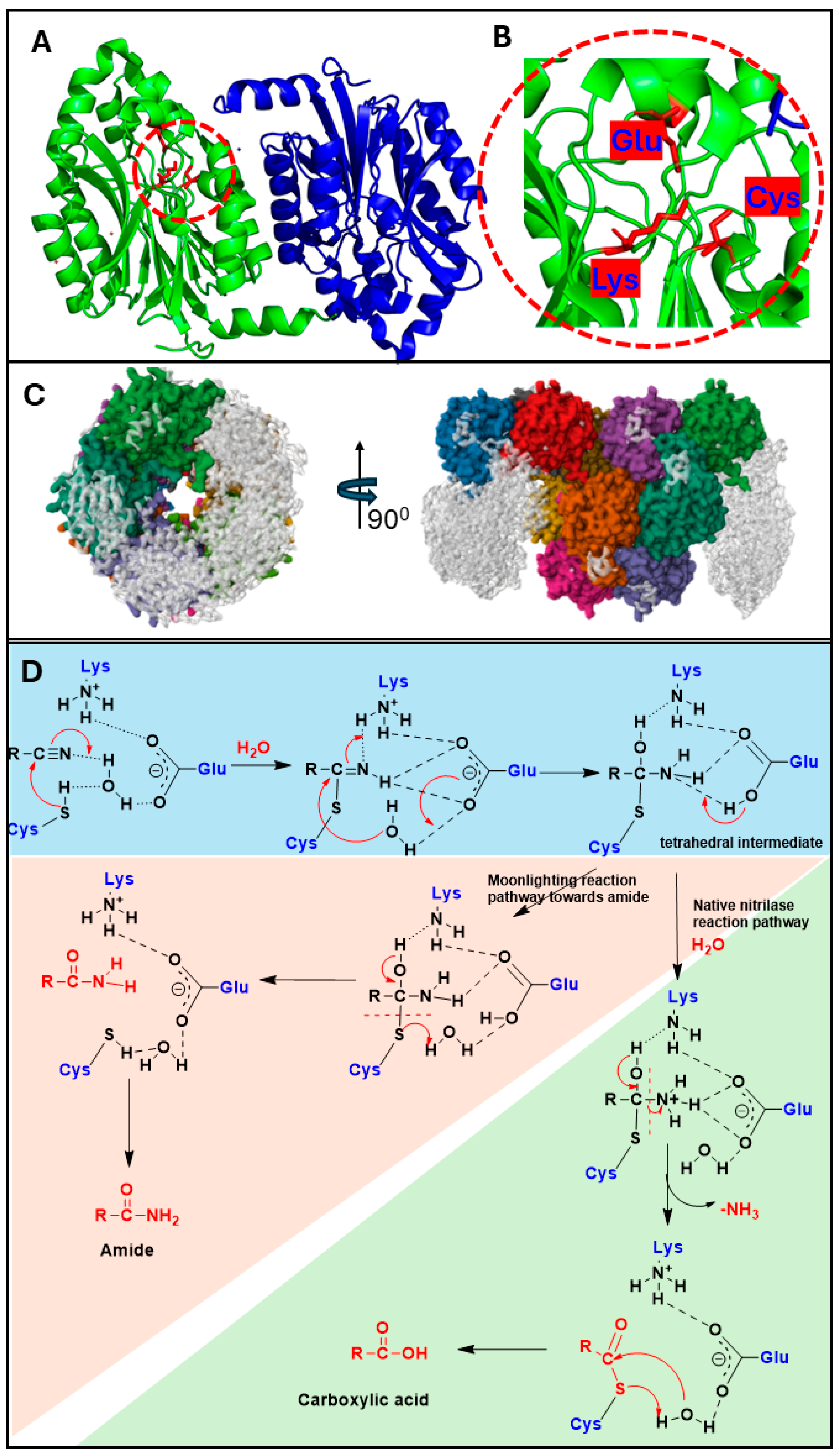 Catalysts 15 00939 g002