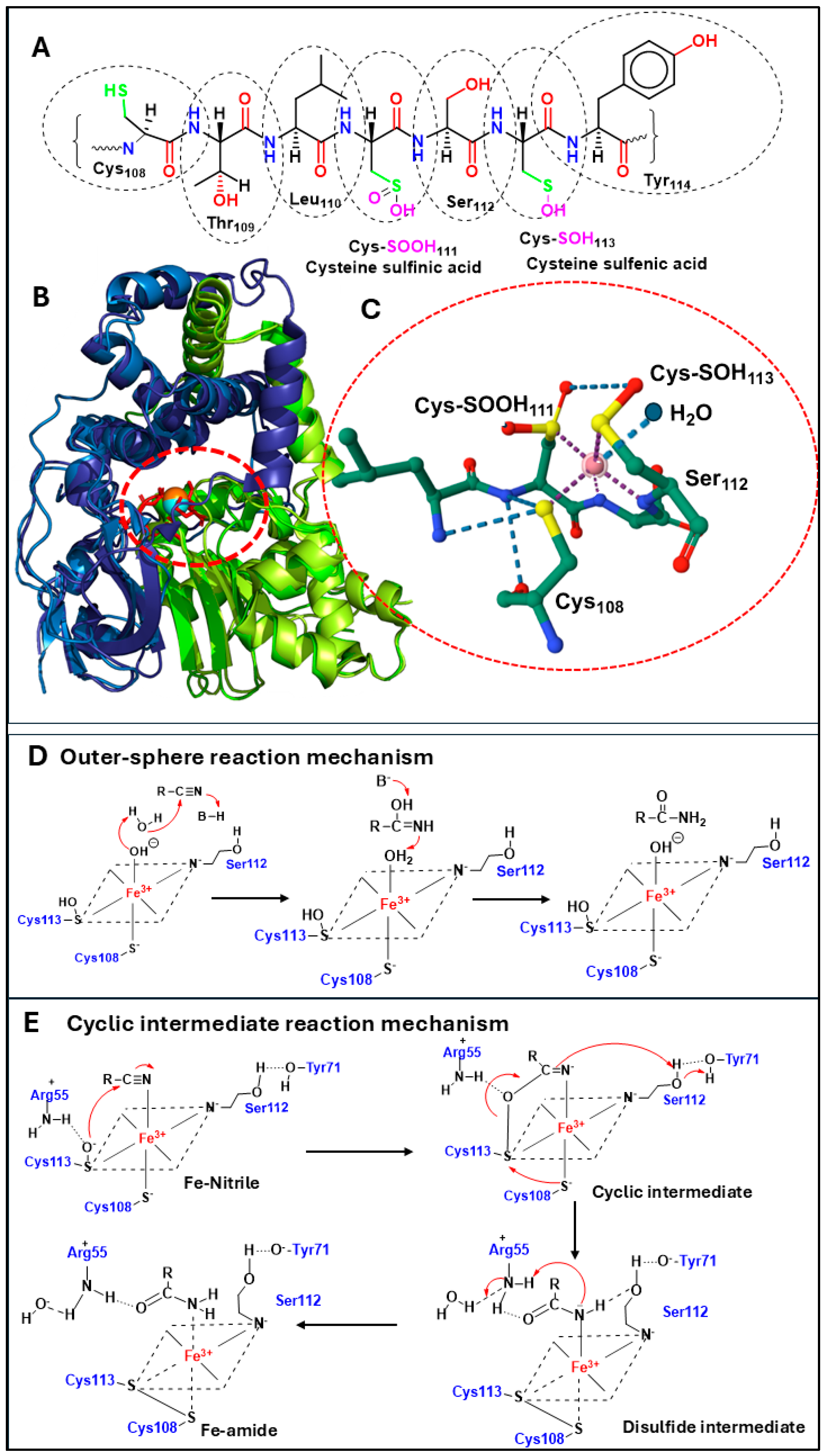 Catalysts 15 00939 g003