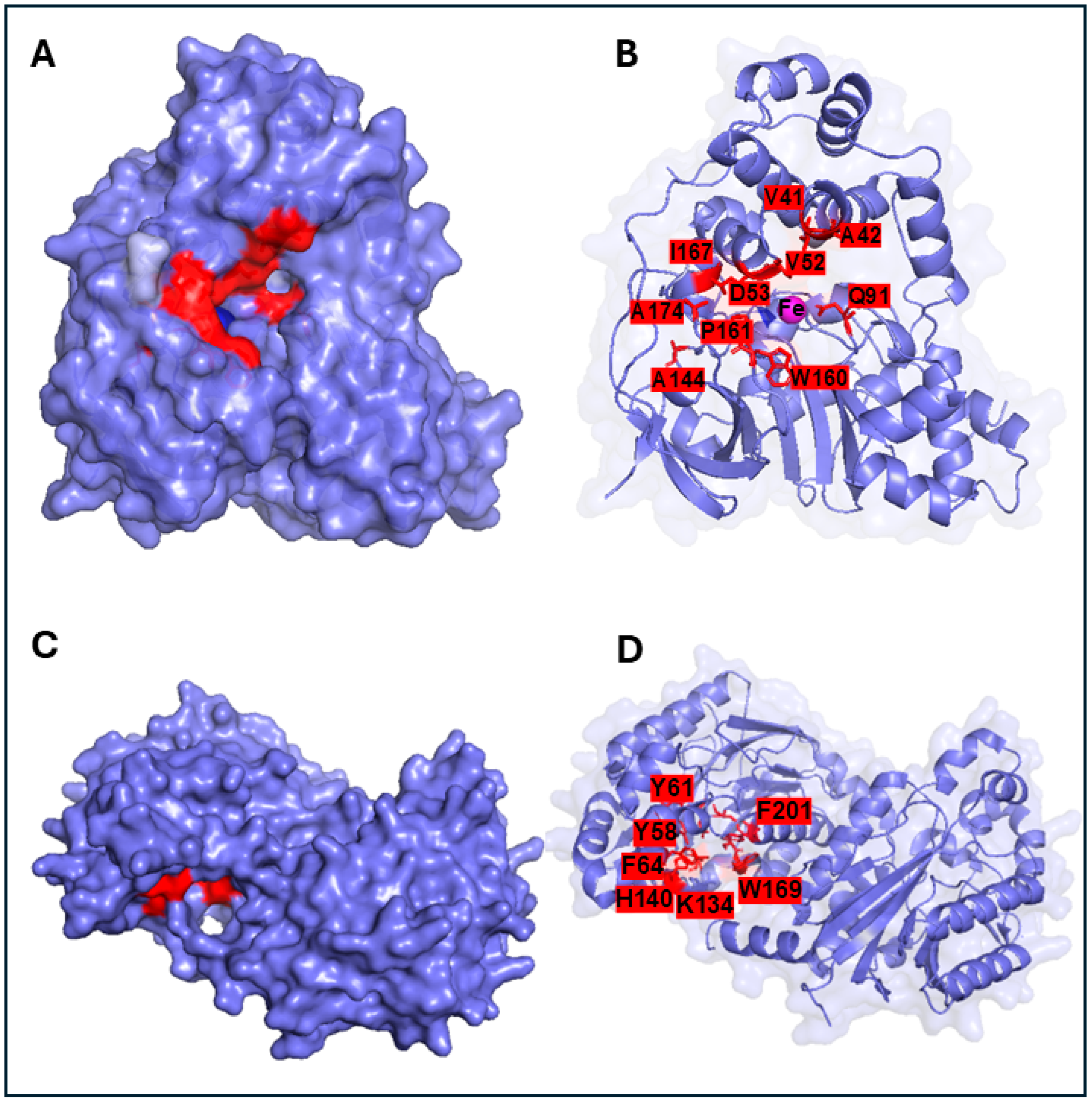 Catalysts 15 00939 g004