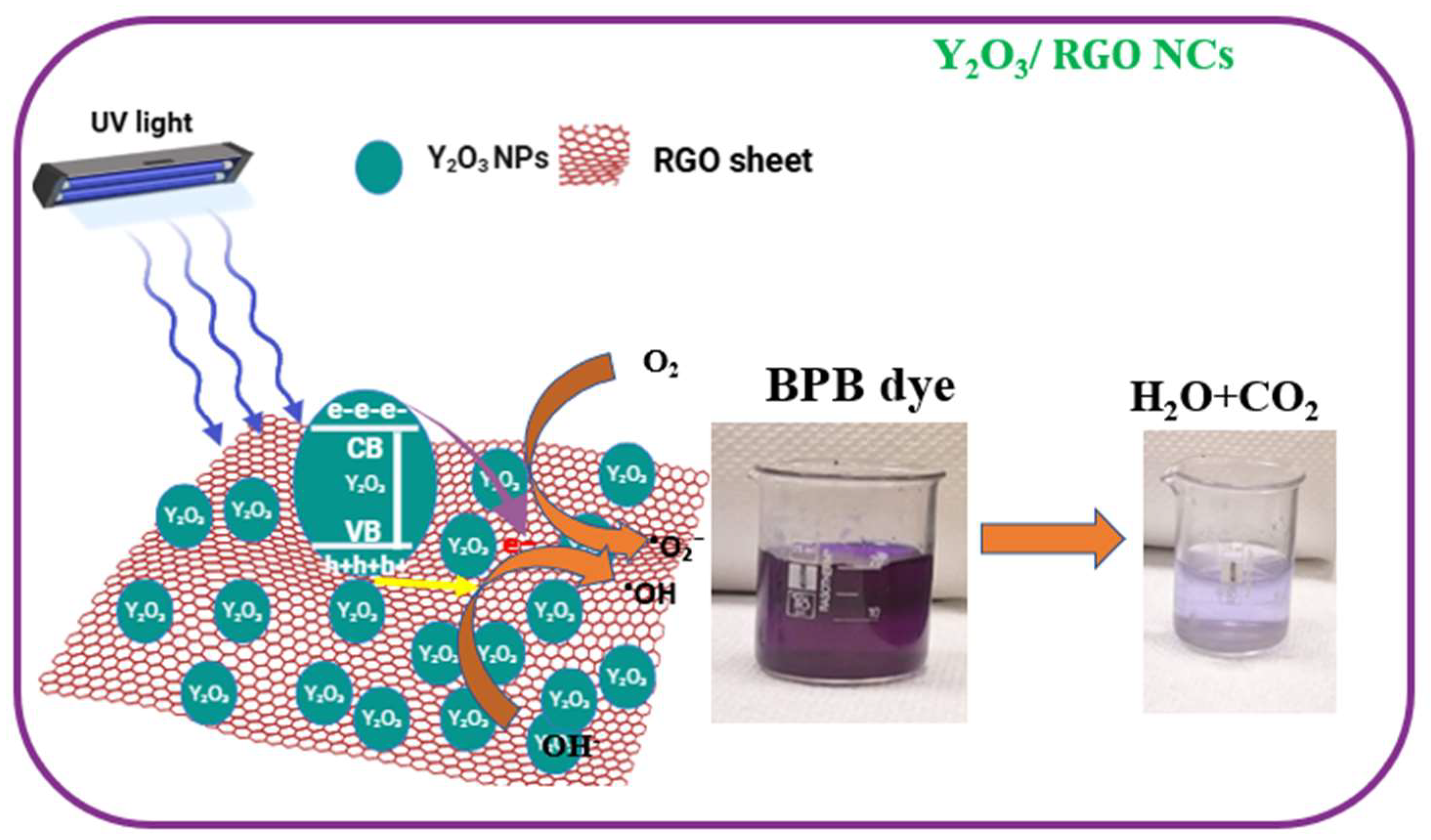 Catalysts 15 00960 g010 Catalysts 15 00960 g010