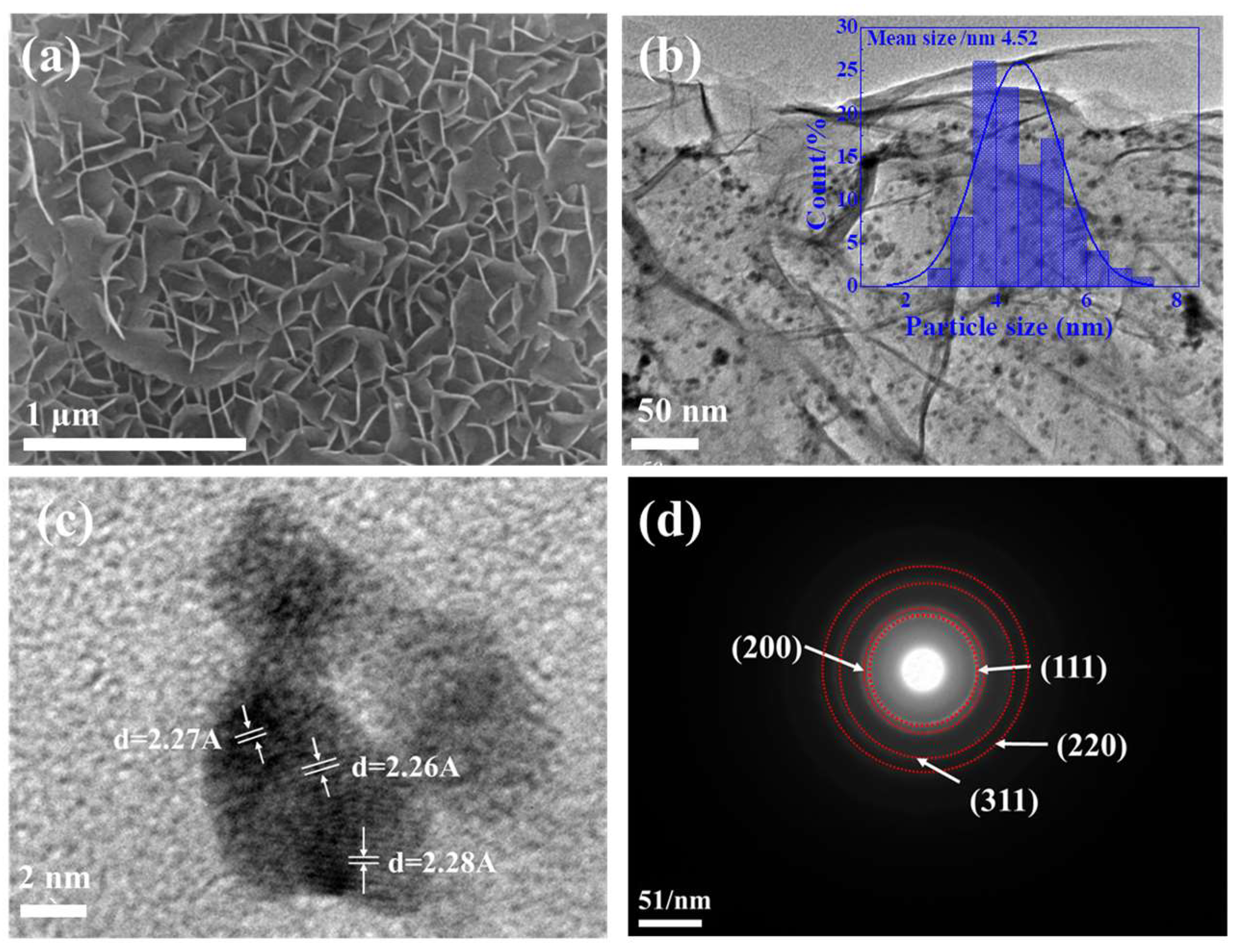 Catalysts 15 00963 g002 Catalysts 15 00963 g002