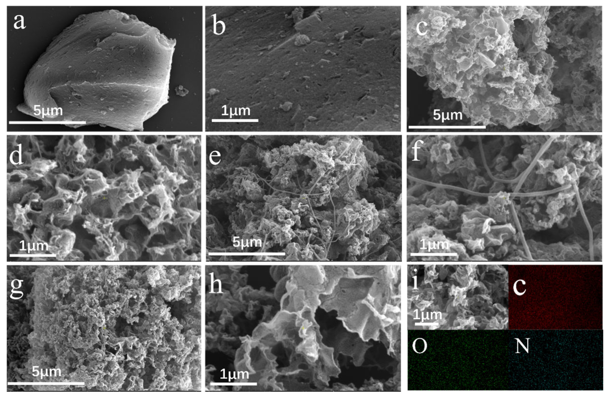 Catalysts 15 00968 g002 Catalysts 15 00968 g002