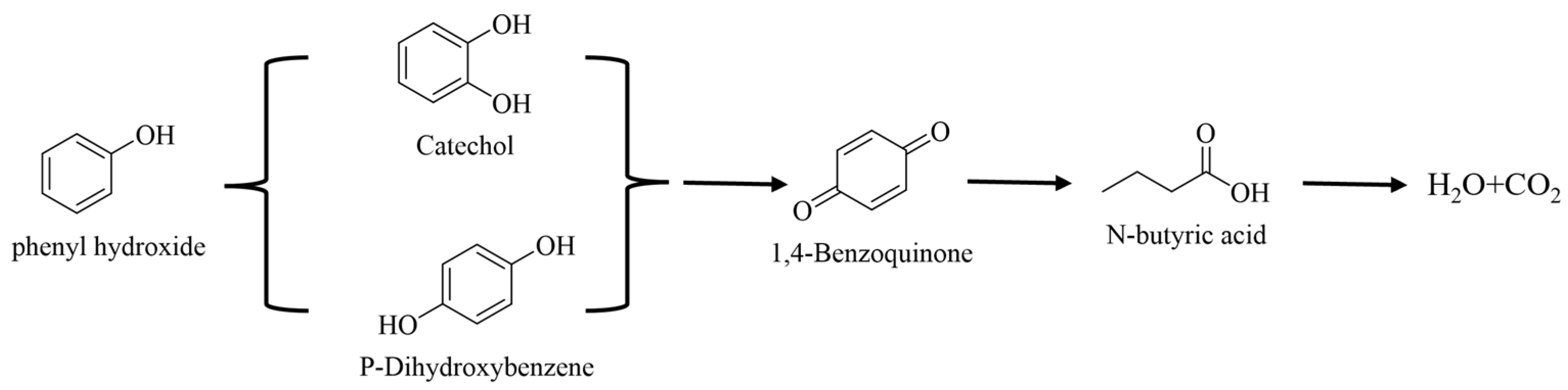 Catalysts 15 00968 g007 Catalysts 15 00968 g007