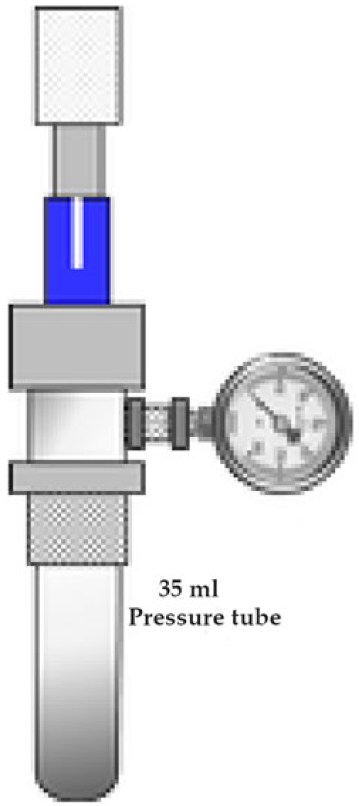 Catalysts 15 00969 g002 Catalysts 15 00969 g002