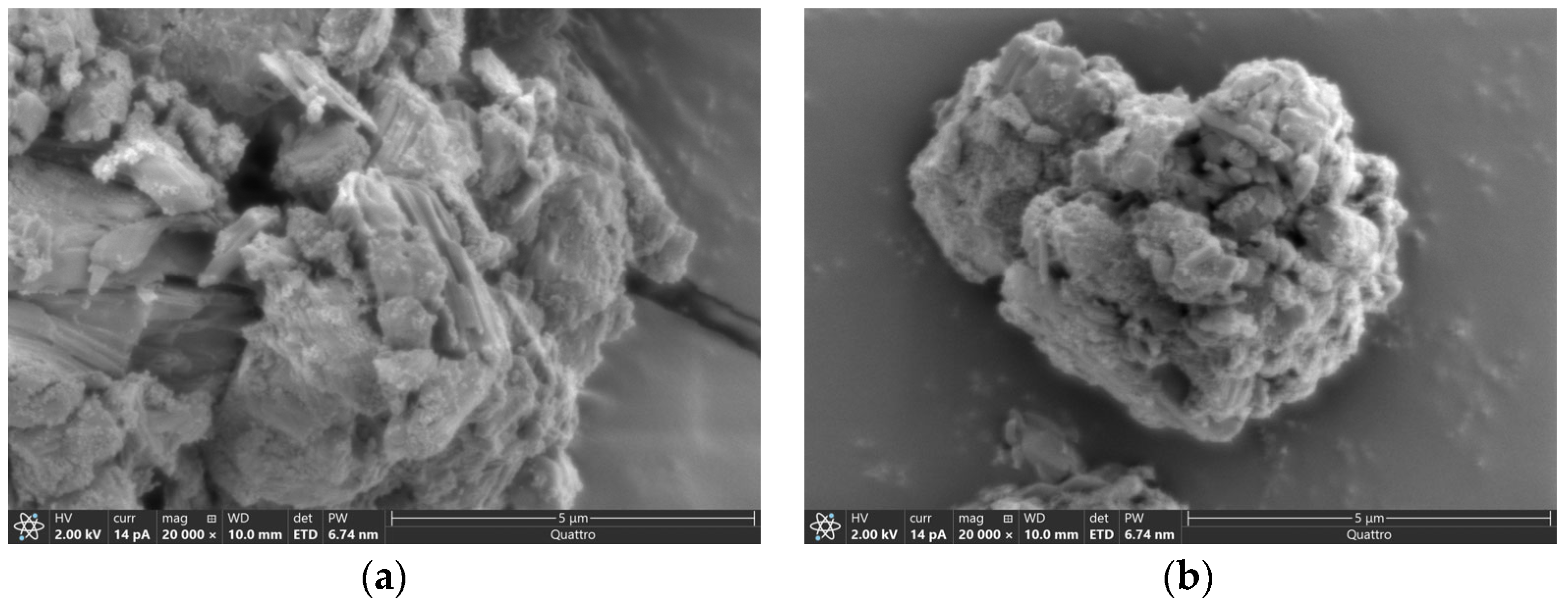 Catalysts 15 00969 g012 Catalysts 15 00969 g012
