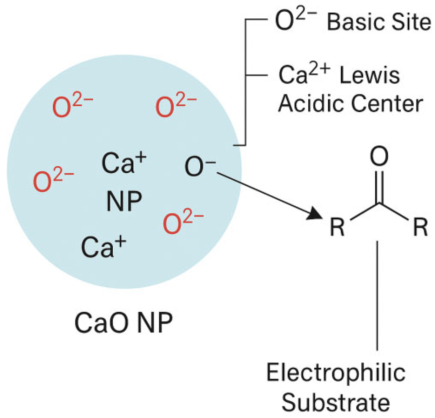 Catalysts 15 00970 g001 Catalysts 15 00970 g001