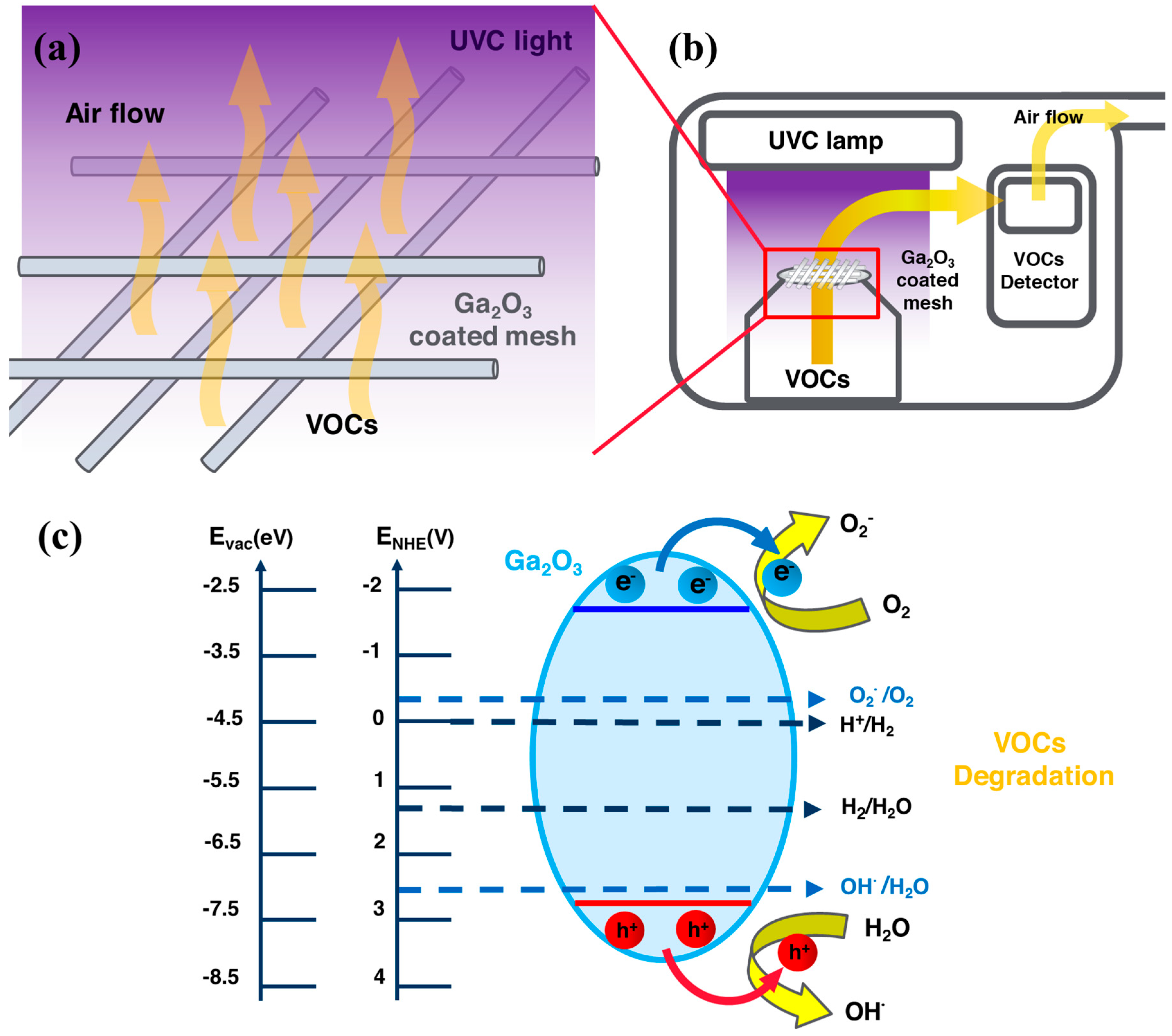 Catalysts 15 00972 g002