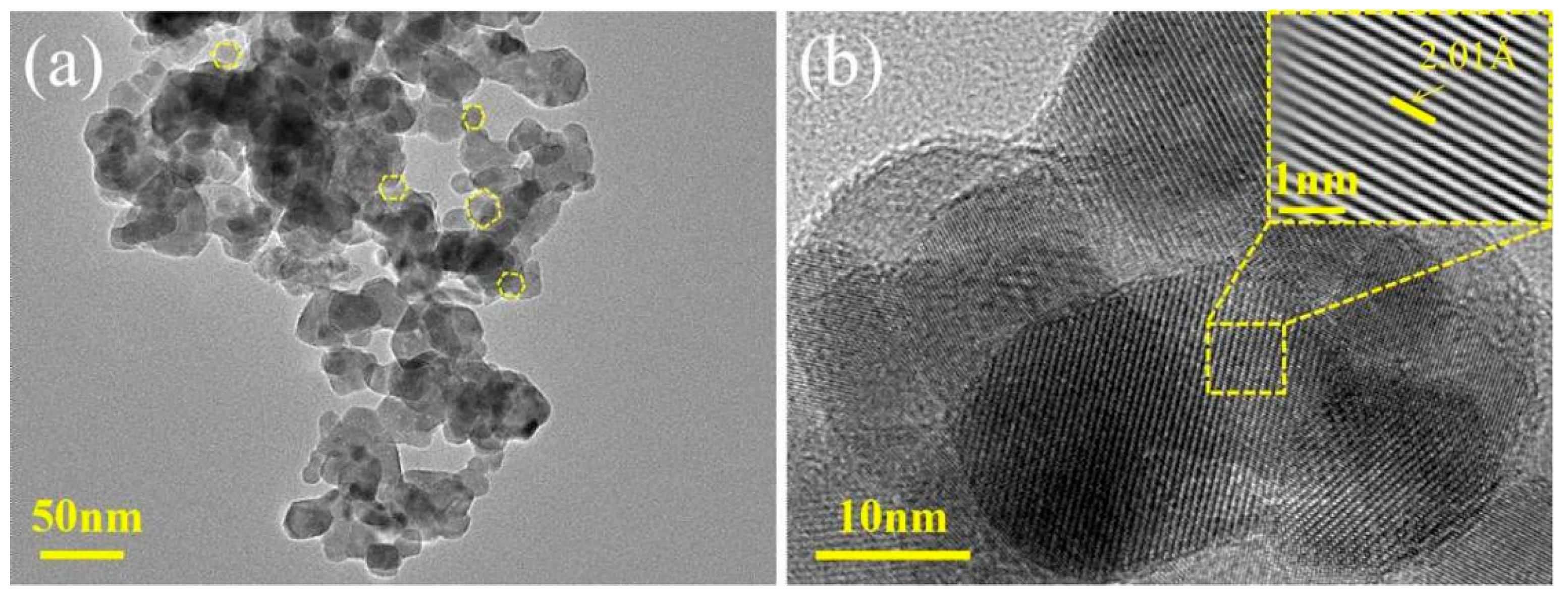 Catalysts 15 00973 g003