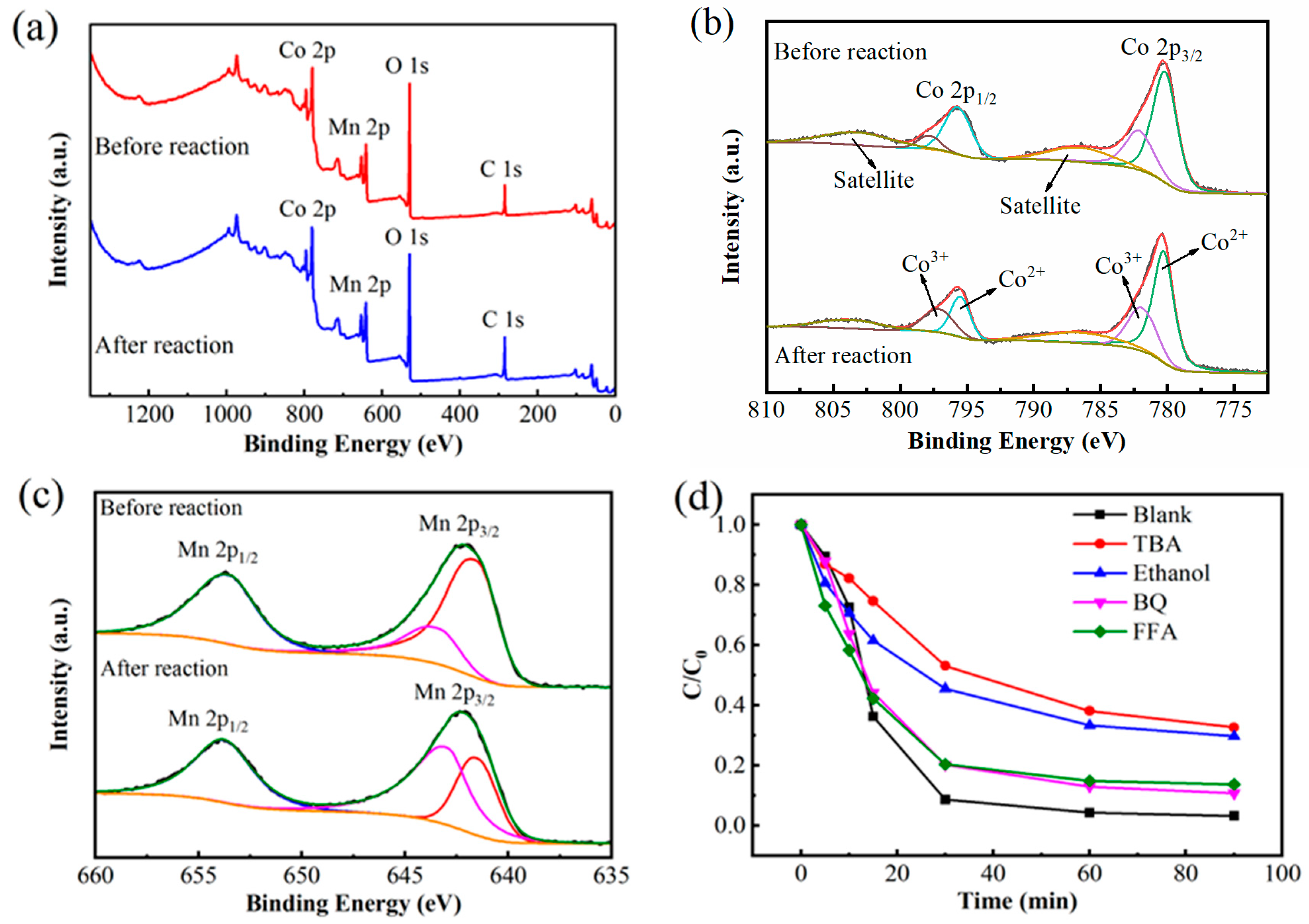 Catalysts 15 00973 g009