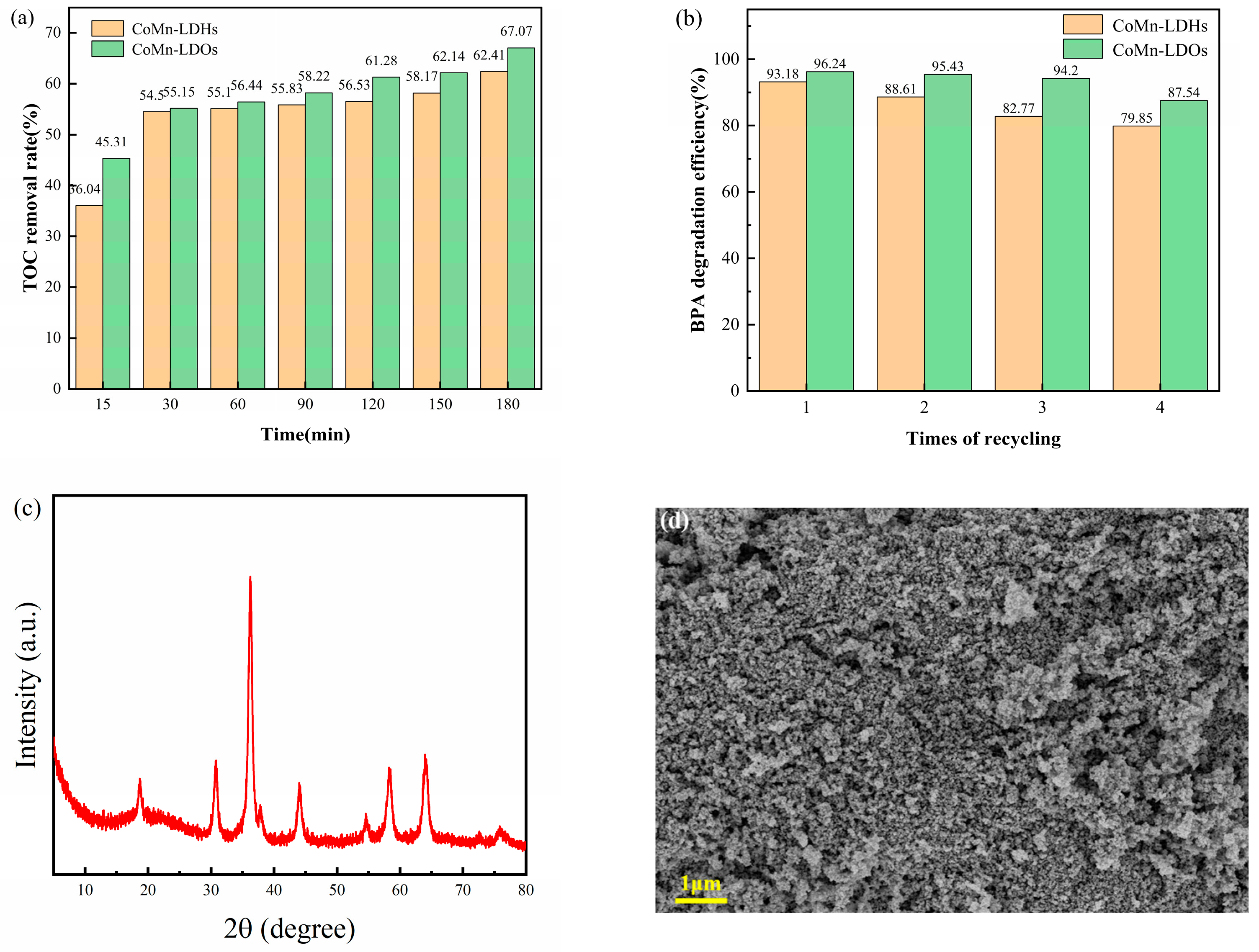 Catalysts 15 00973 g011