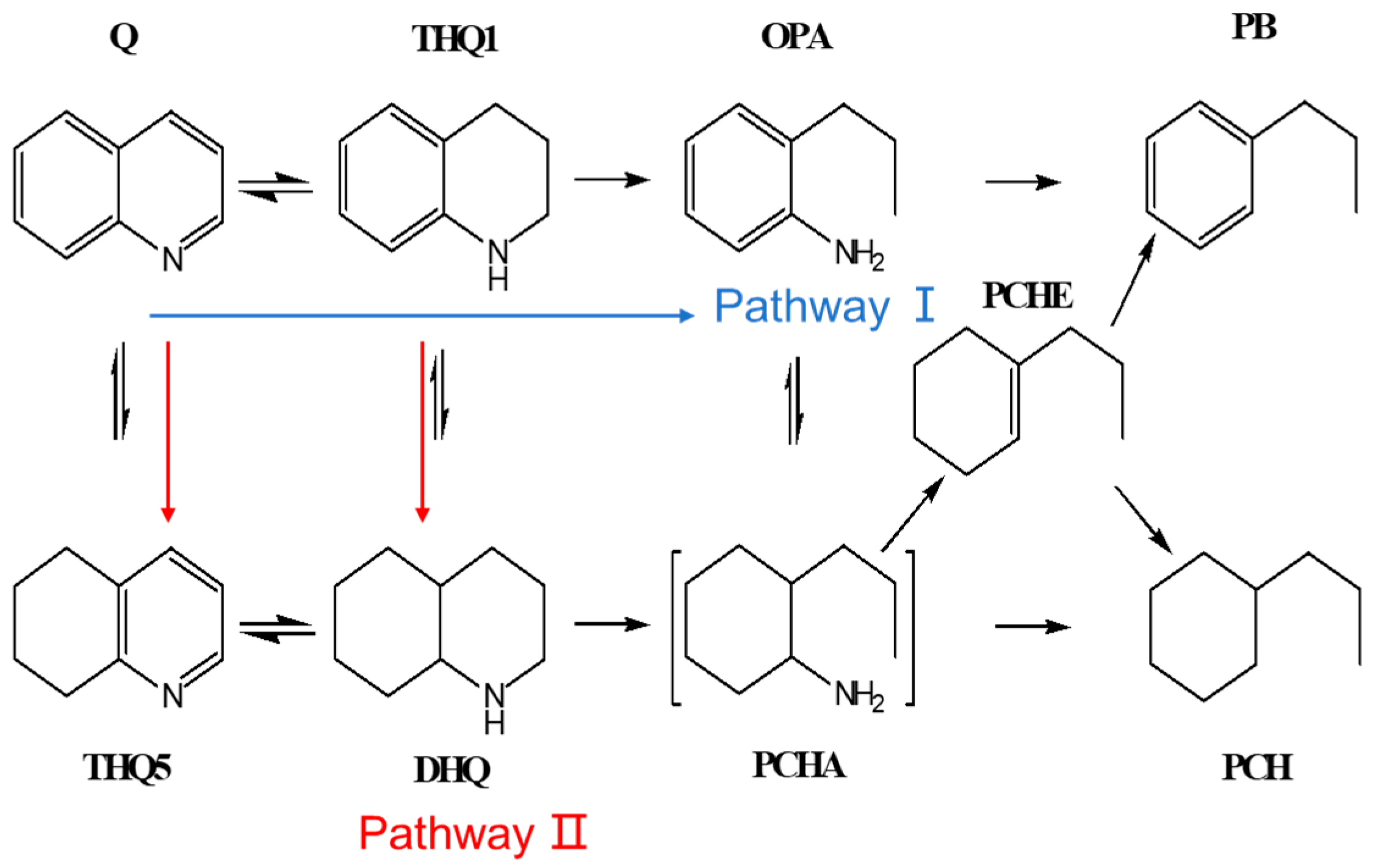 Catalysts 15 00976 g002 Catalysts 15 00976 g002