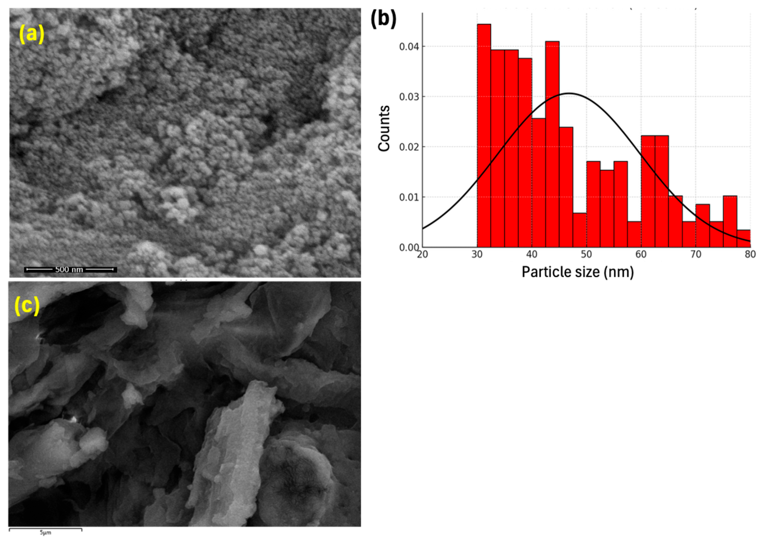Catalysts 15 00977 g002